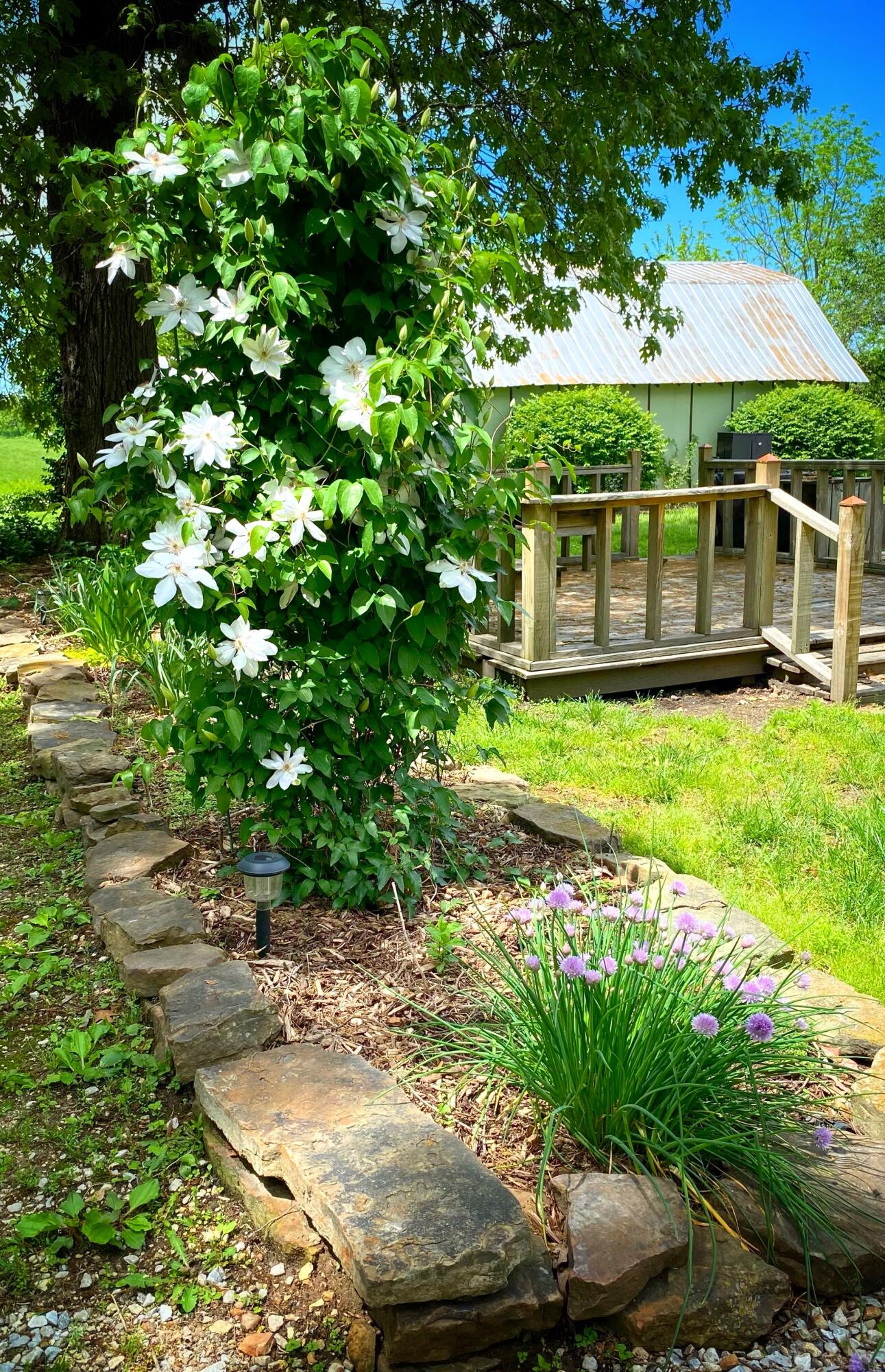 10239 Farm Road 1035 Property Photo 68