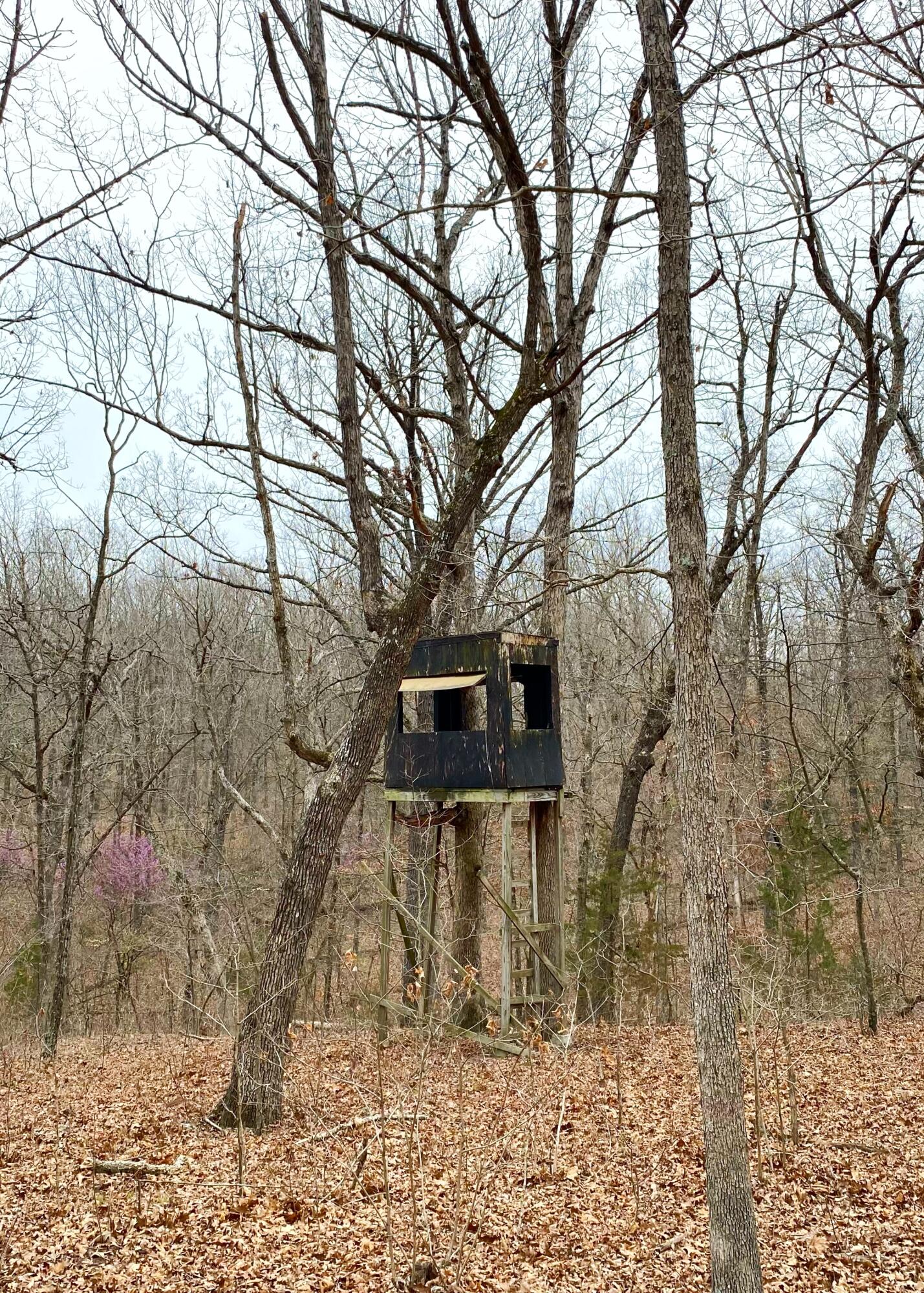 3 Hawk Nest Trail Property Photo 68