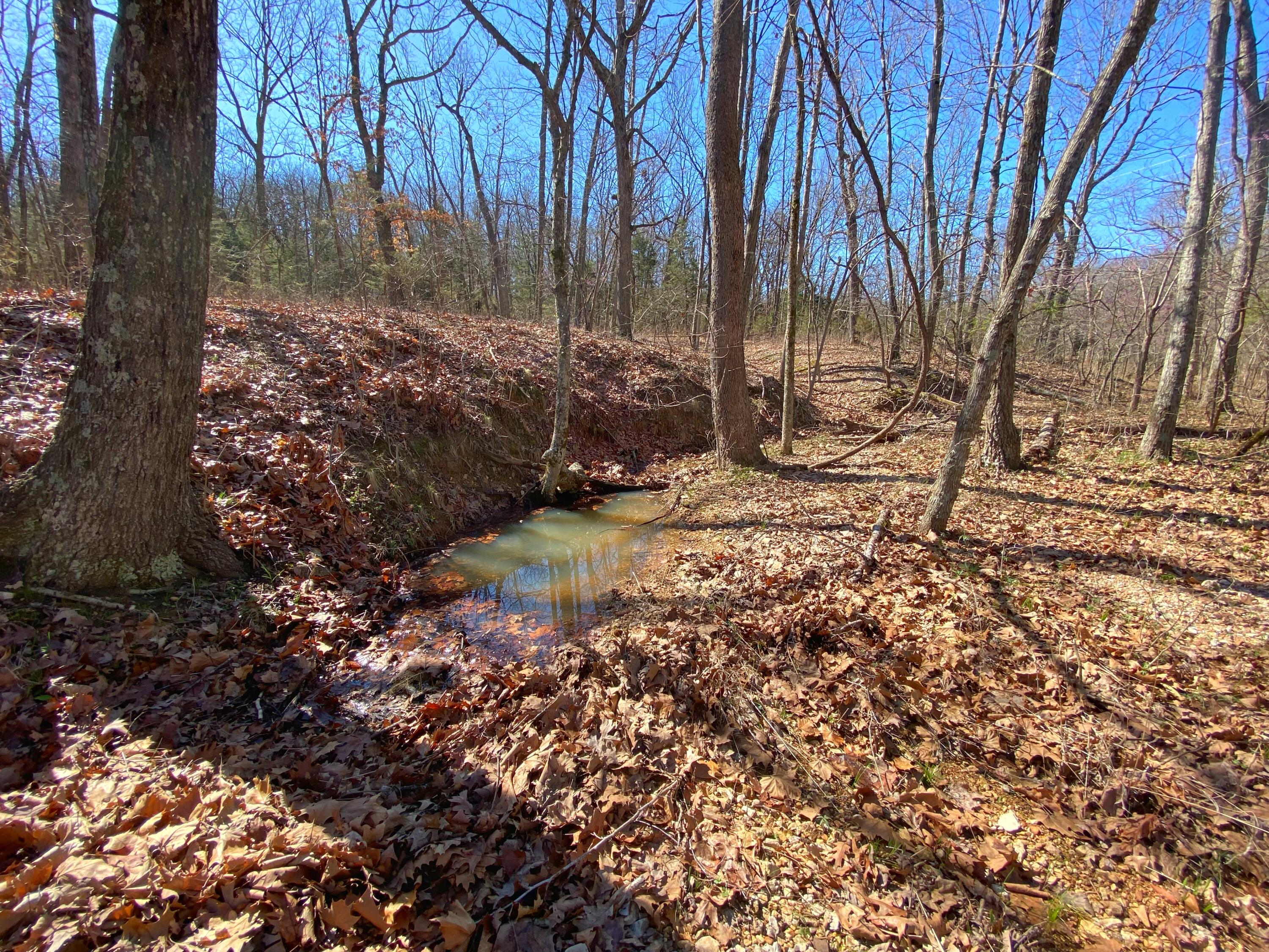 3 Hawk Nest Trail Property Photo 70