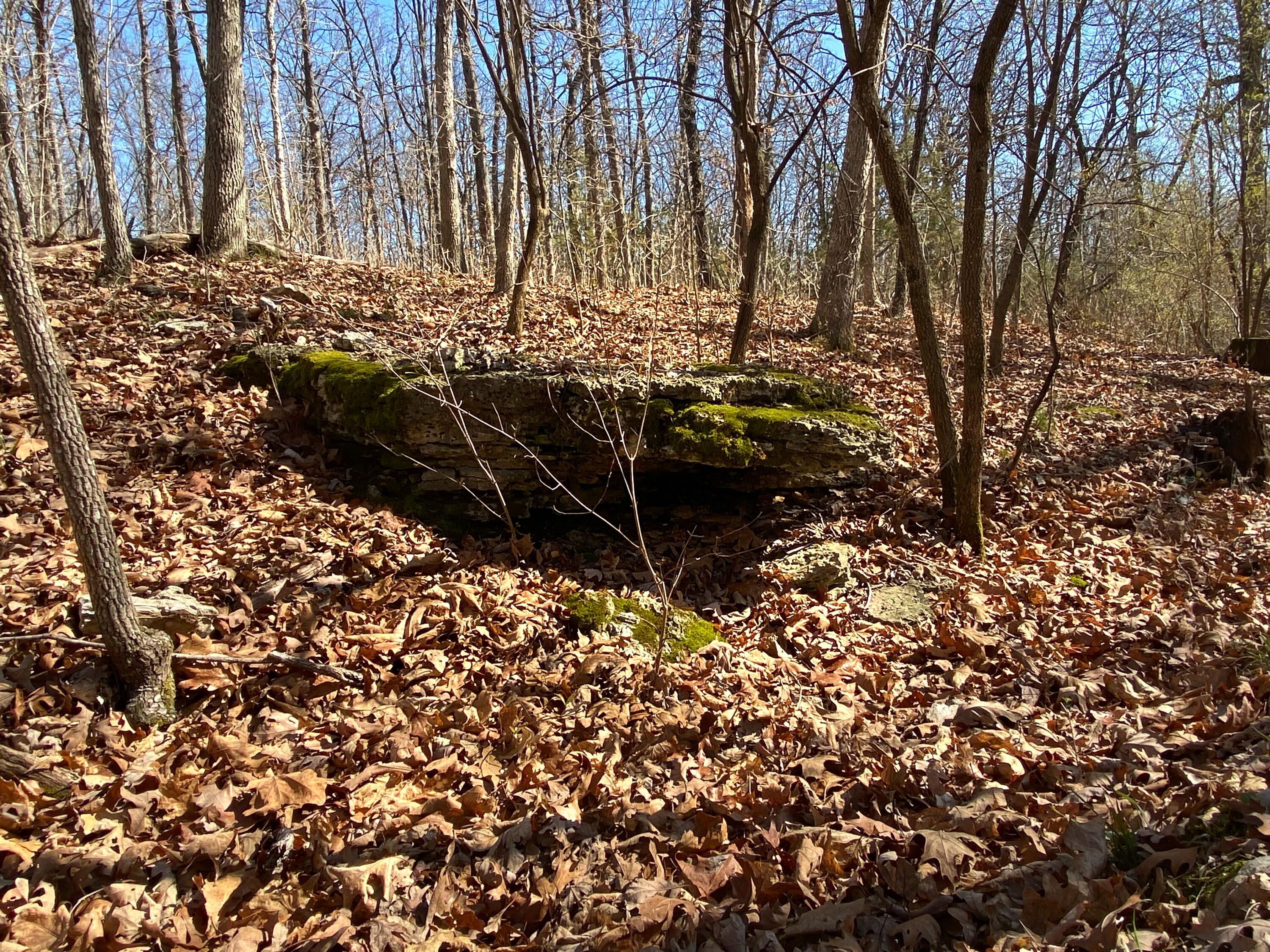 3 Hawk Nest Trail Property Photo 72