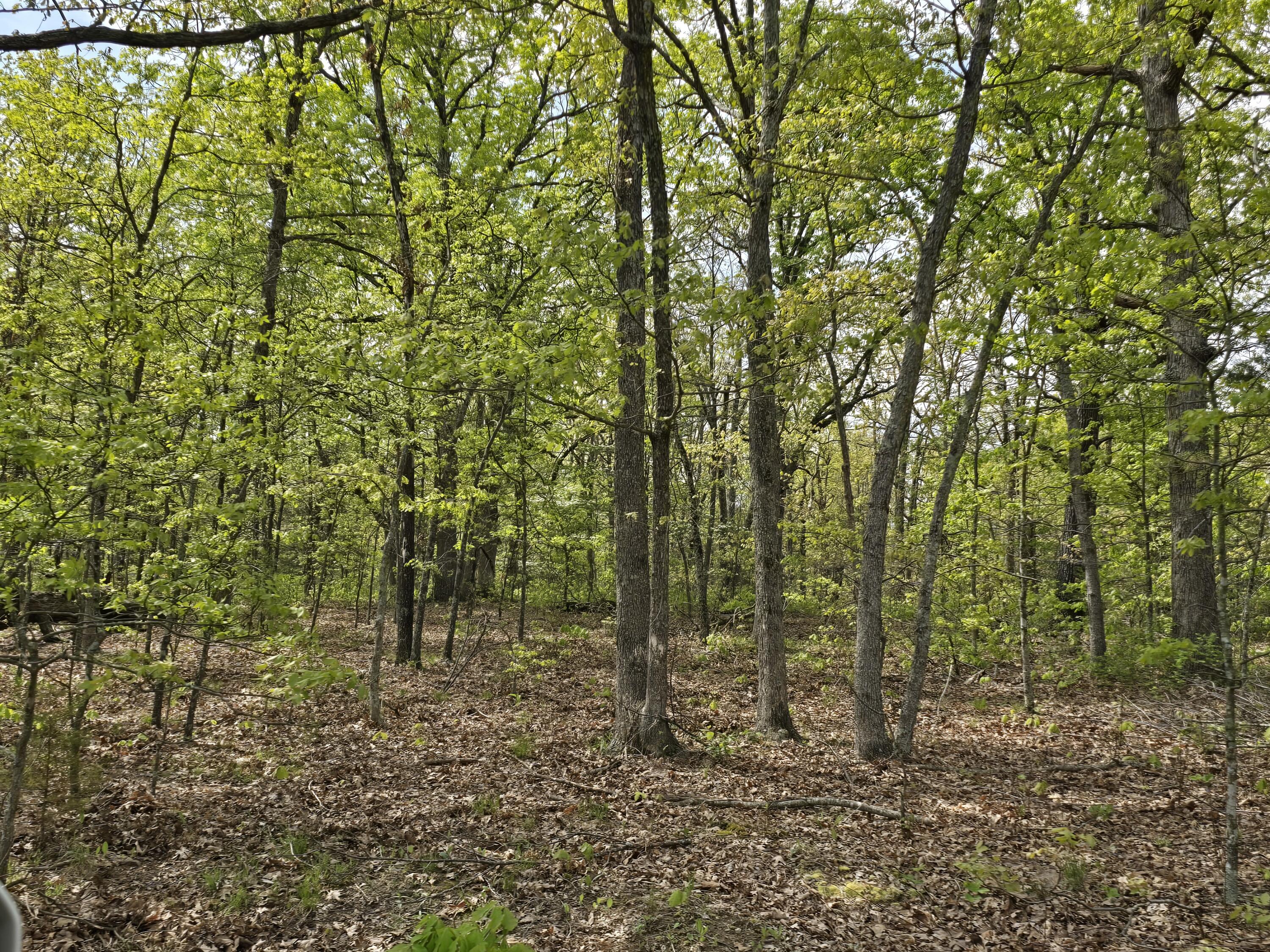 Tract M Greatview Lane Property Photo 12