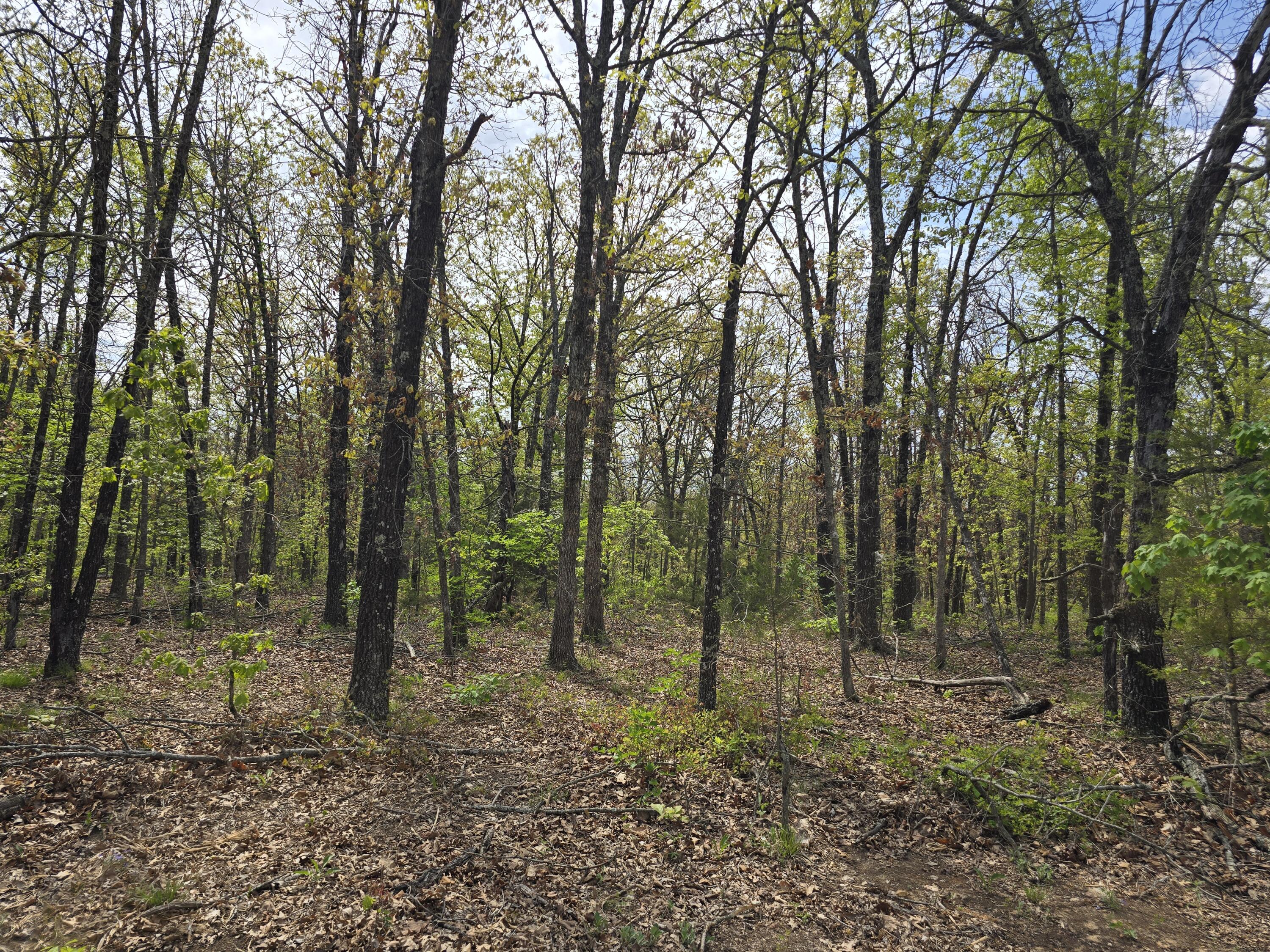 Tract M Greatview Lane Property Photo 20
