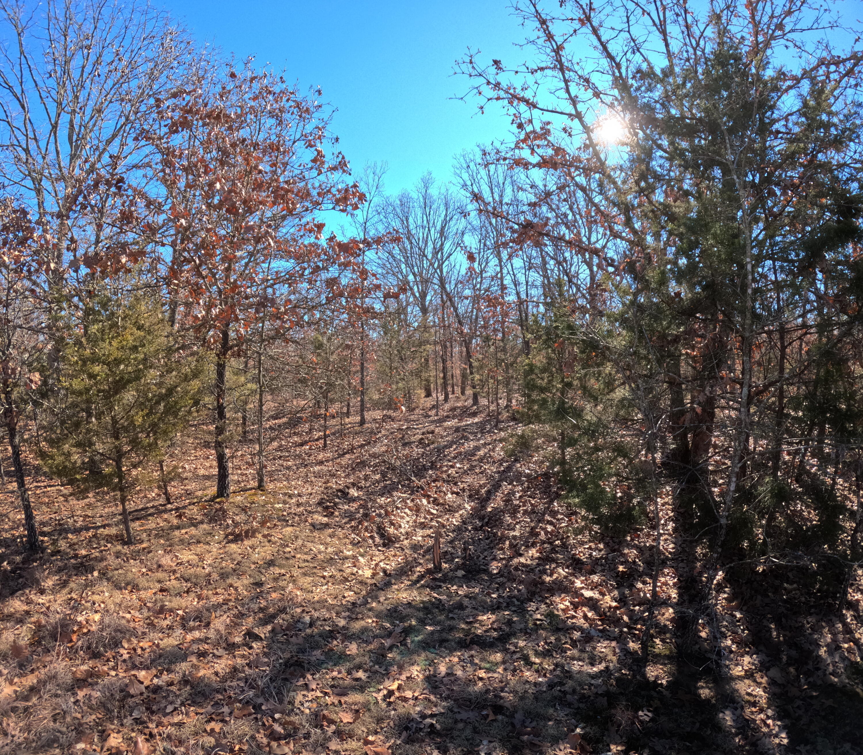 Tract R Greatview Lane Property Photo 1