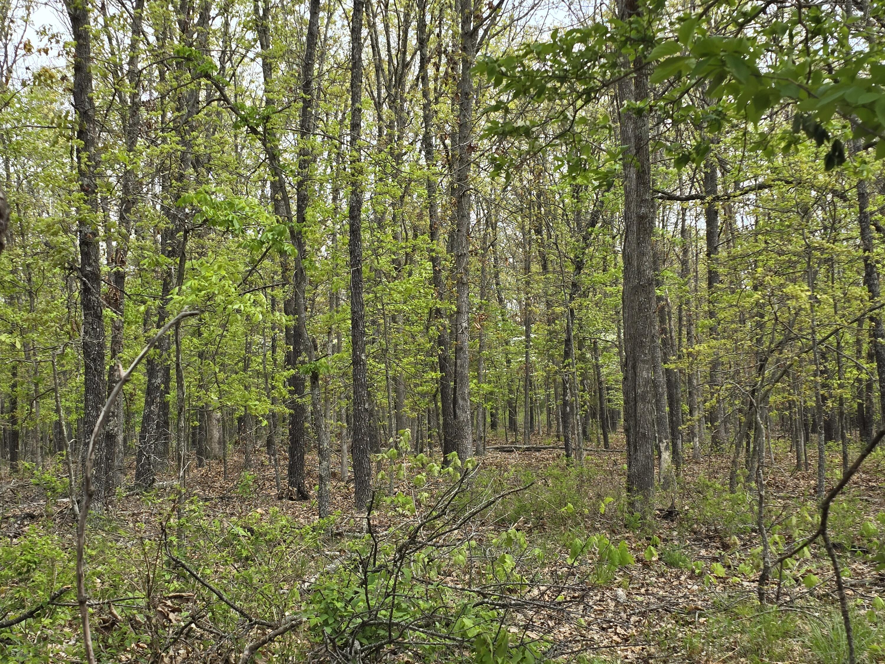 Tract P Galaxy Lane Lane Property Photo 19