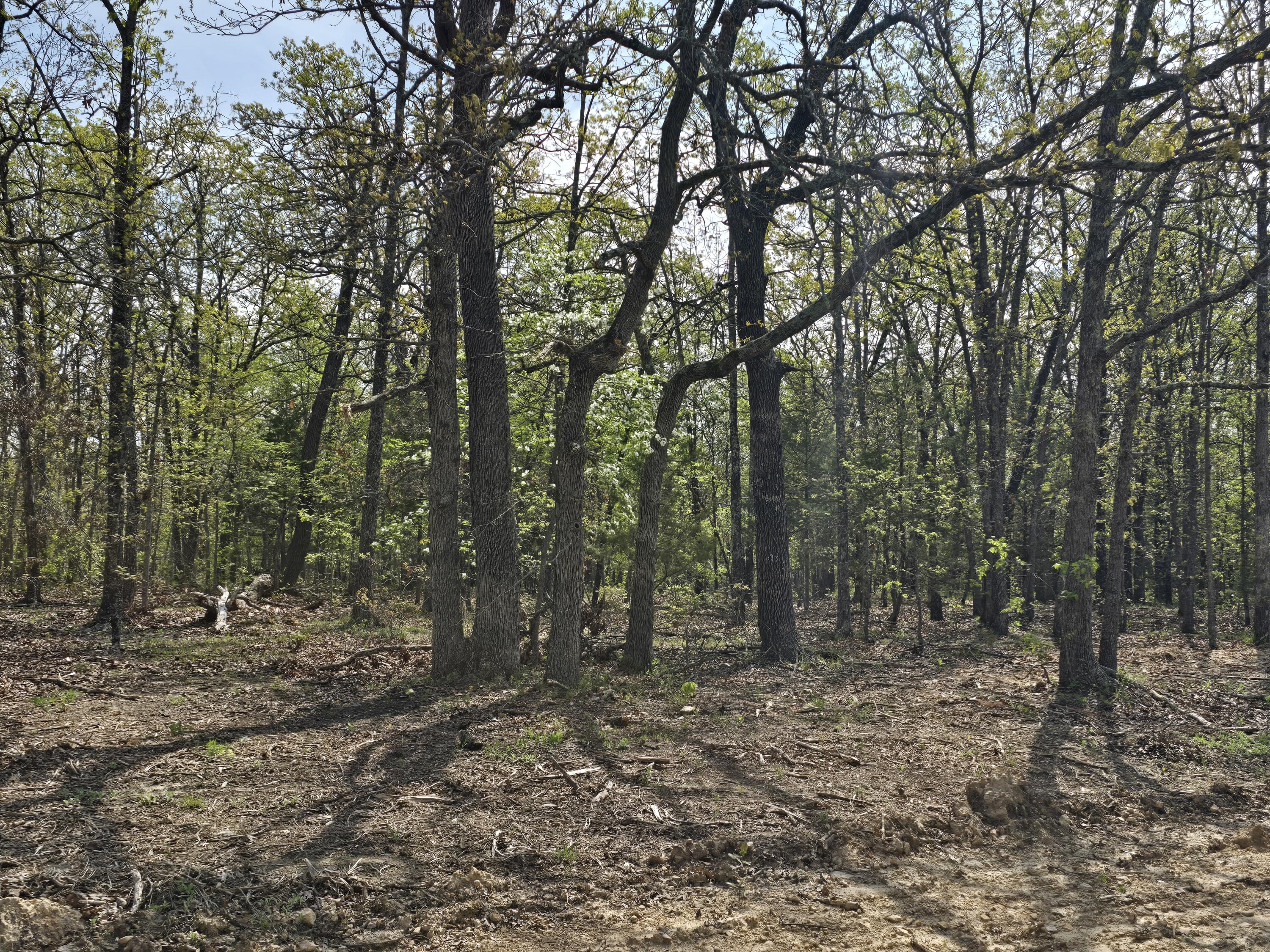 Tract B Glory Lane Property Photo