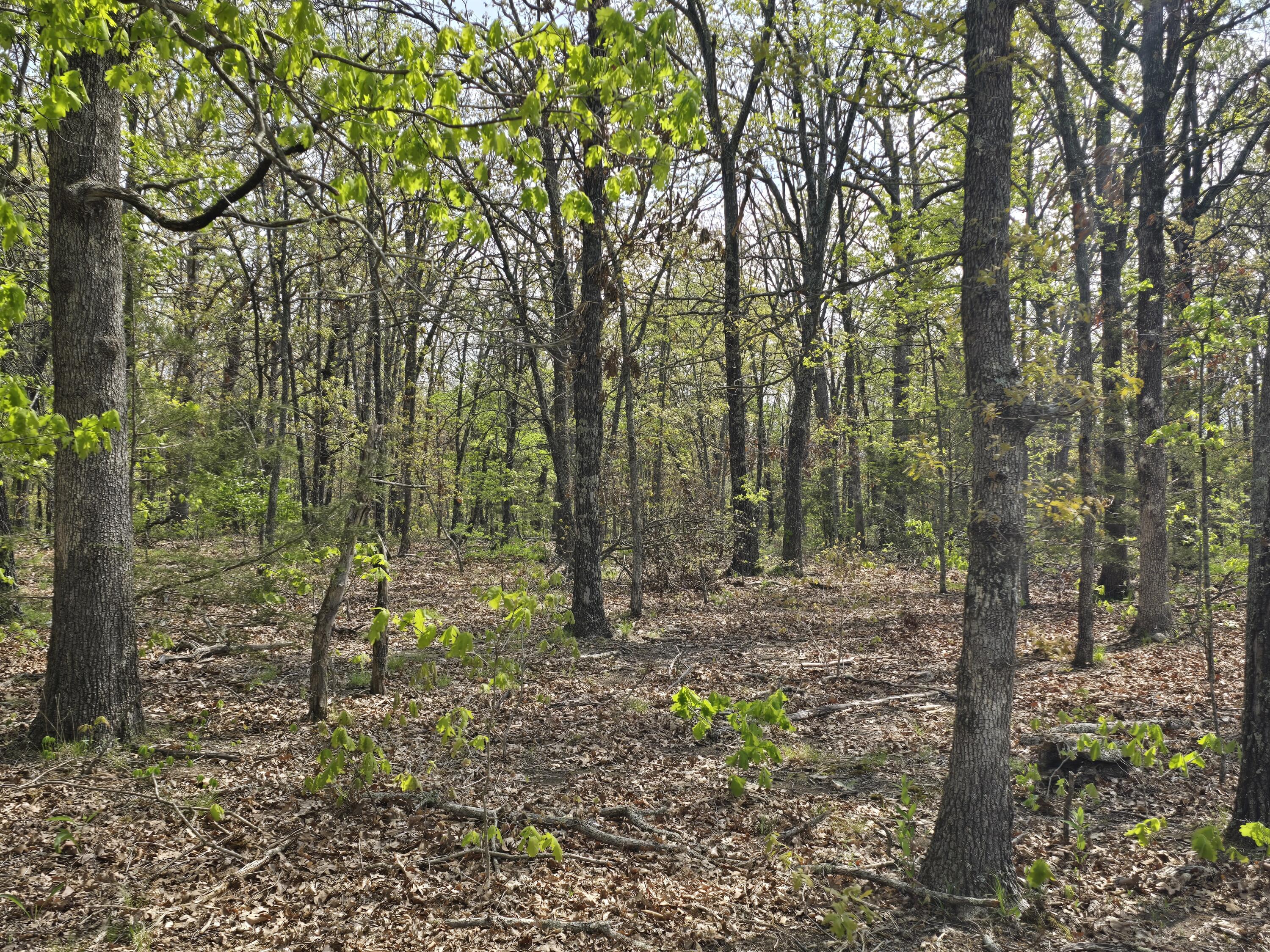 Tract O Greatview Lane Property Photo 7