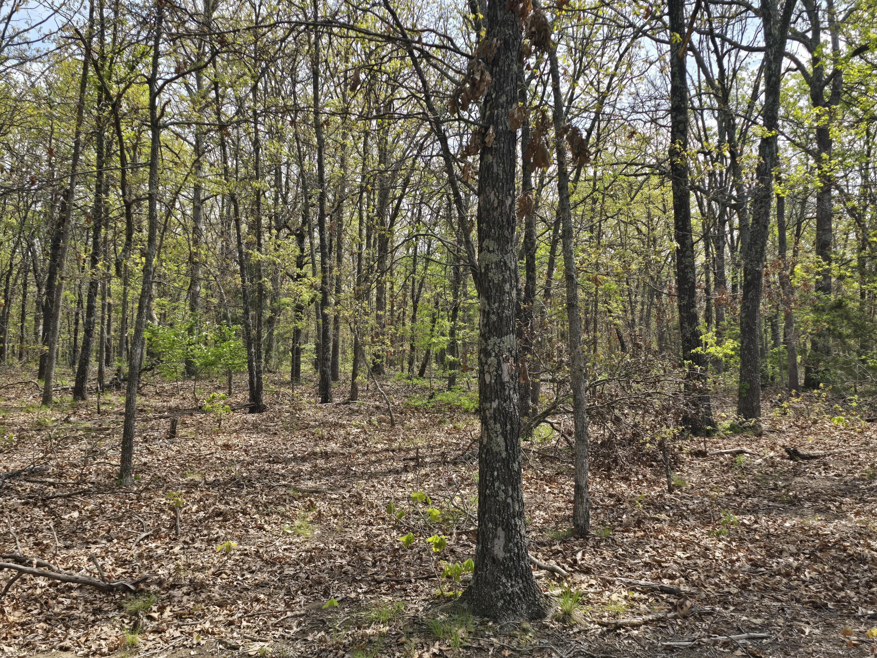 Tract O Greatview Lane Property Photo 9