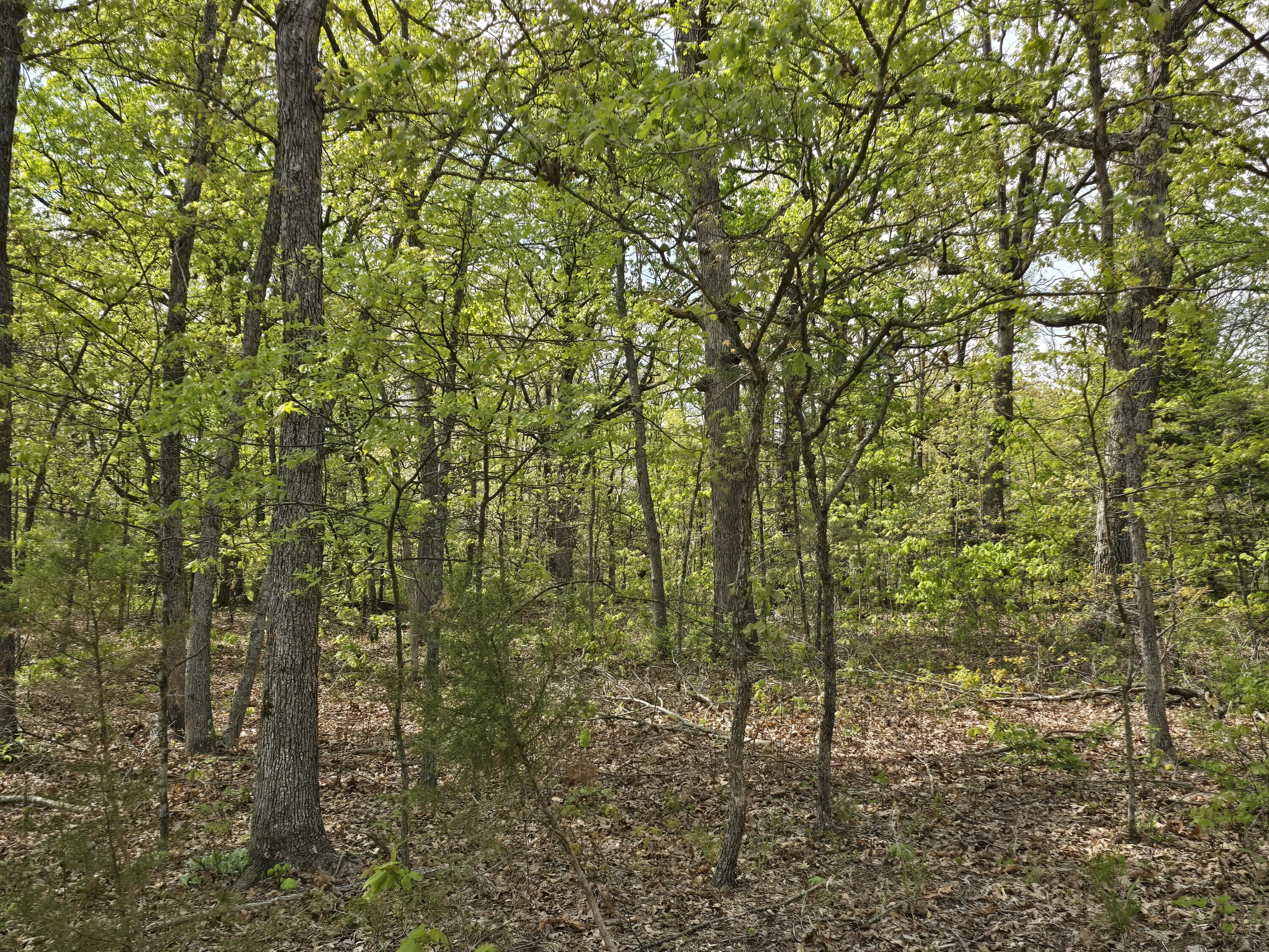 Tract O Greatview Lane Property Photo 11