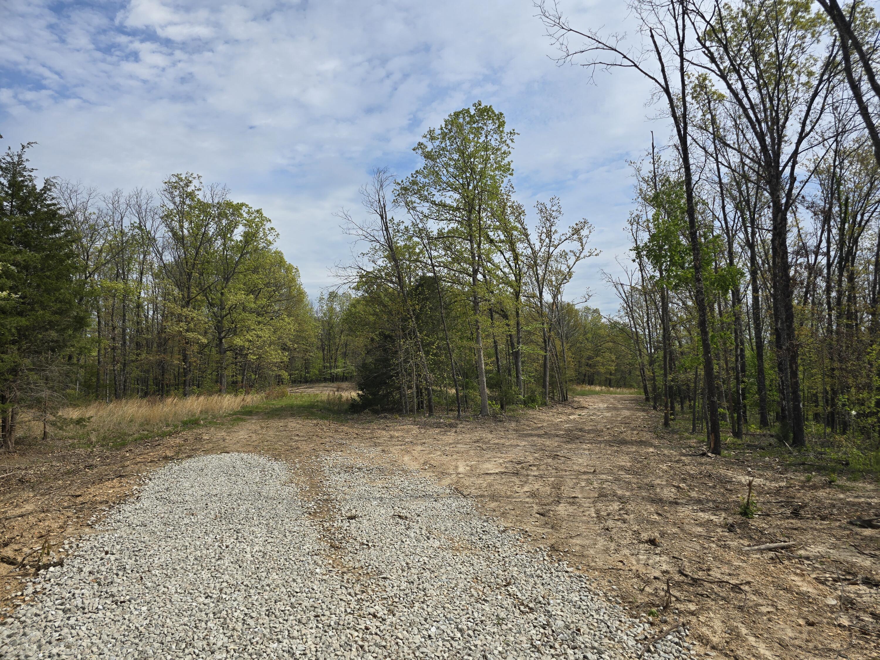 Tract O Greatview Lane Property Photo 14