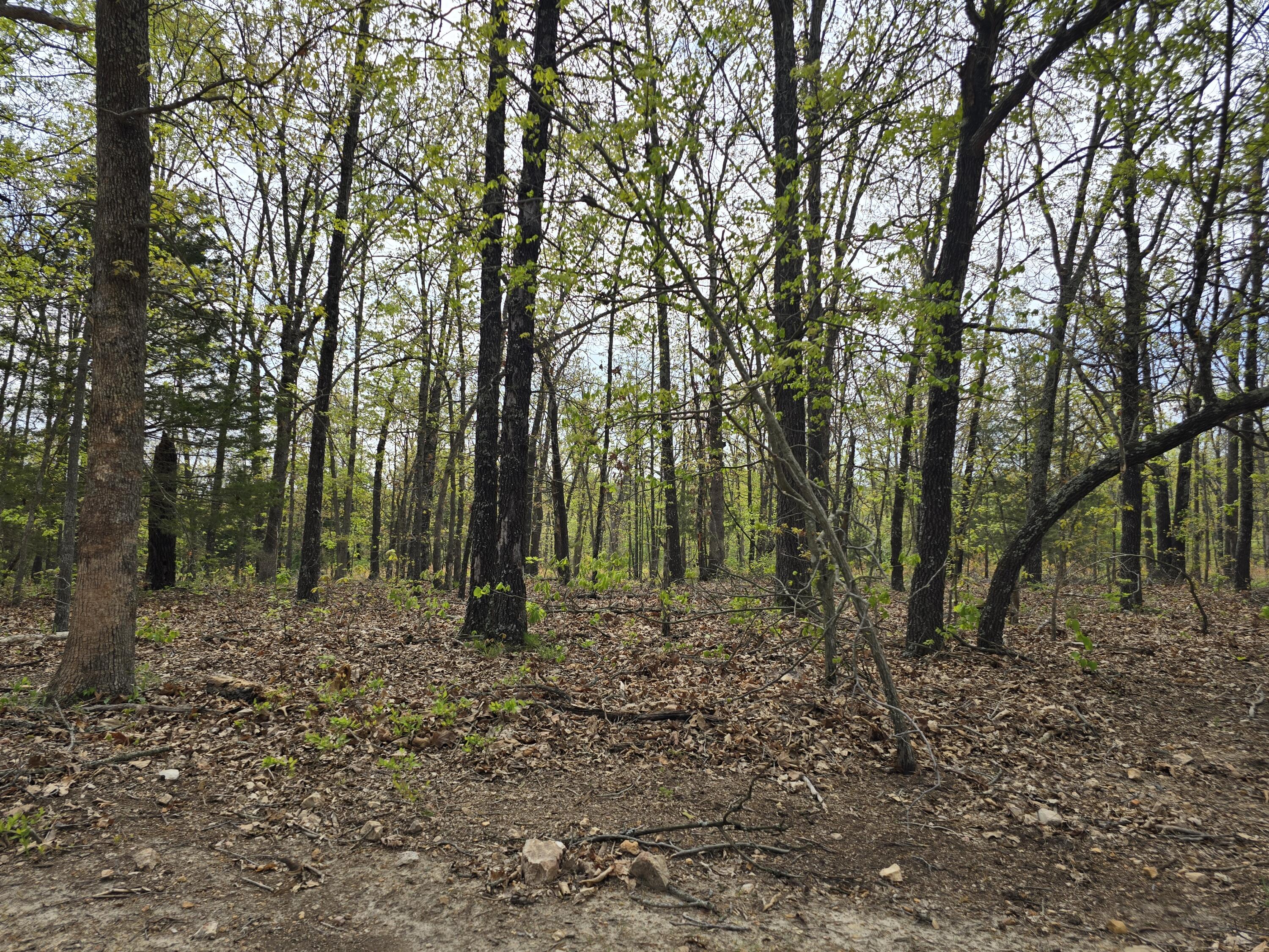 Tract U Greatview Lane Property Photo 18