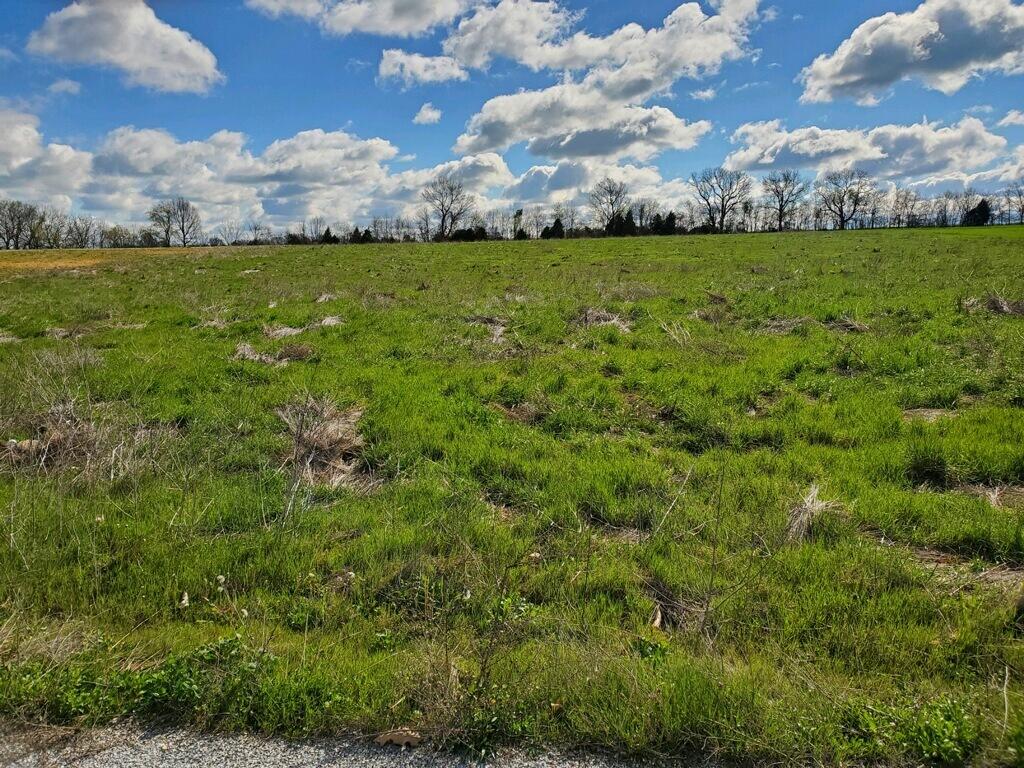 00 Lot 8 & 13 Private Road 1066 Property Photo 5