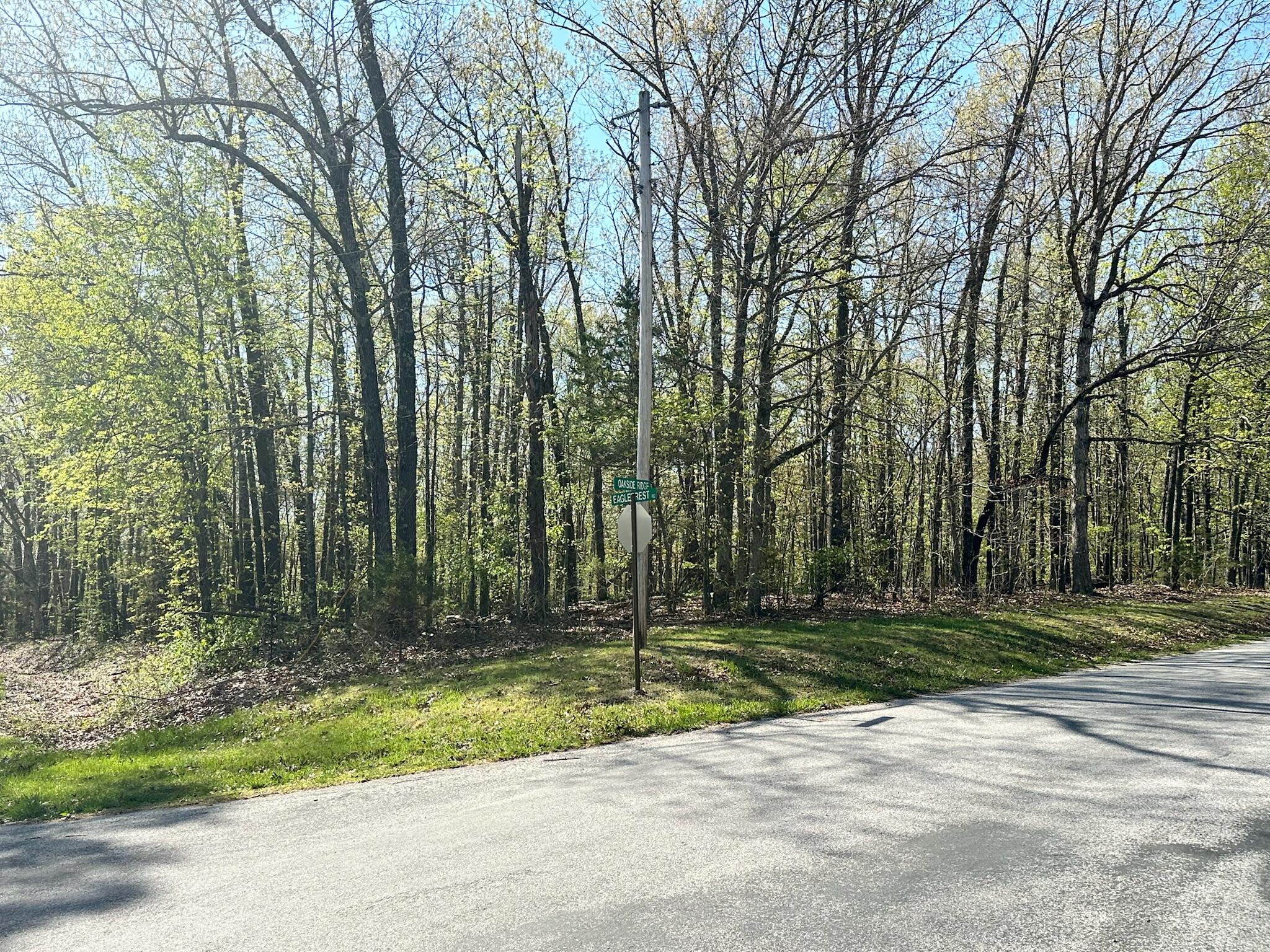 L42a & 43a Eaglecrest Road Property Photo