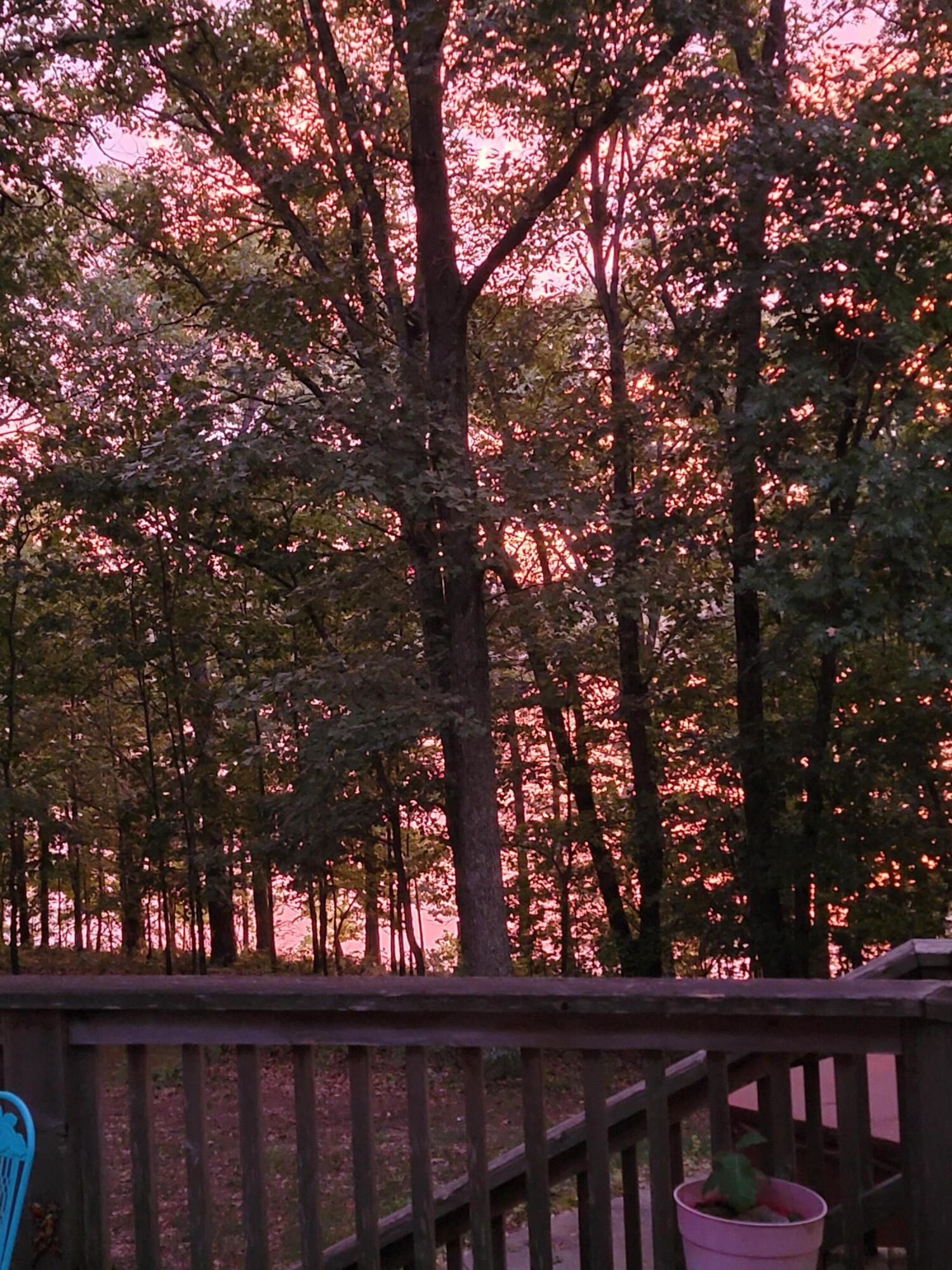 24265 Raintree Lane Property Photo 61