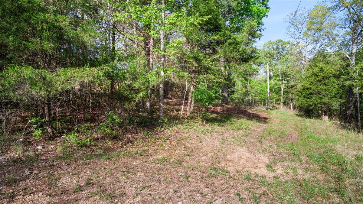 250 Vin Villa Property Photo 3