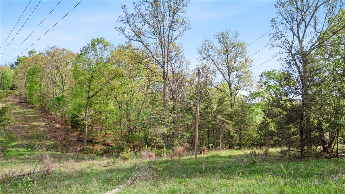 250 Vin Villa Property Photo 4