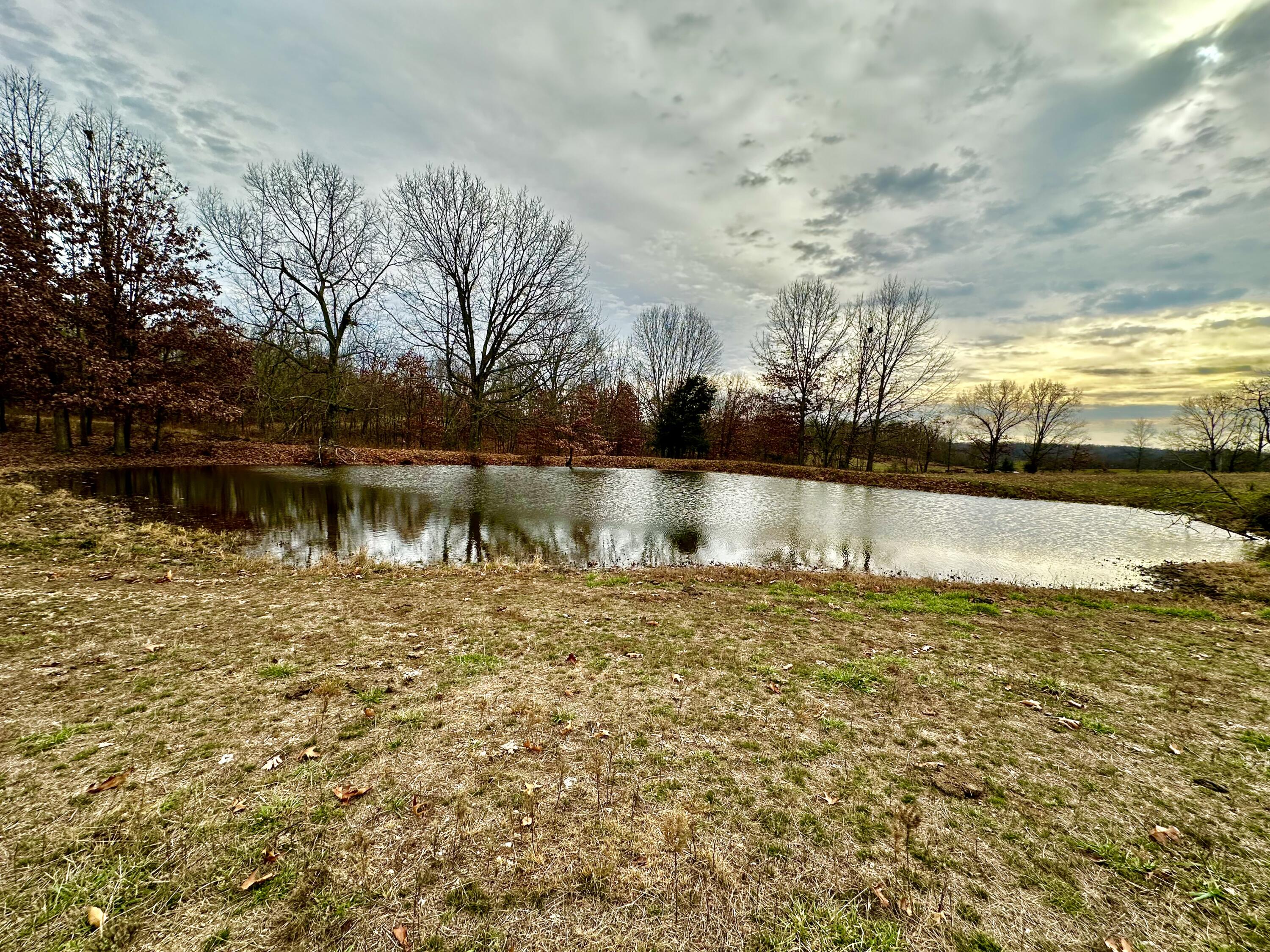 Tbd County Road 2780 Property Photo 3