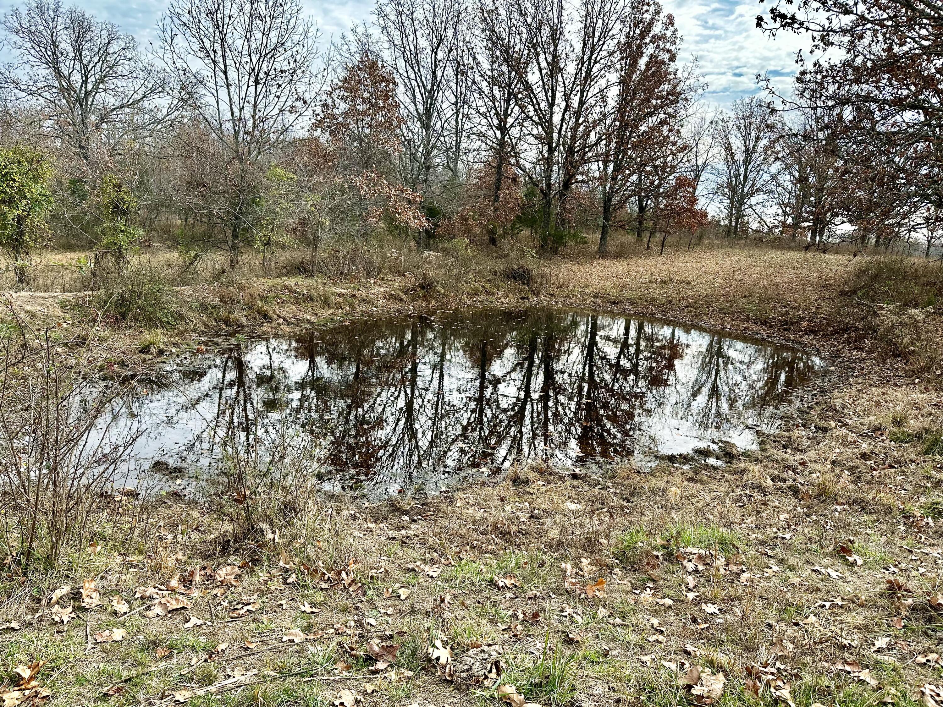 Tbd County Road 2780 Property Photo 6