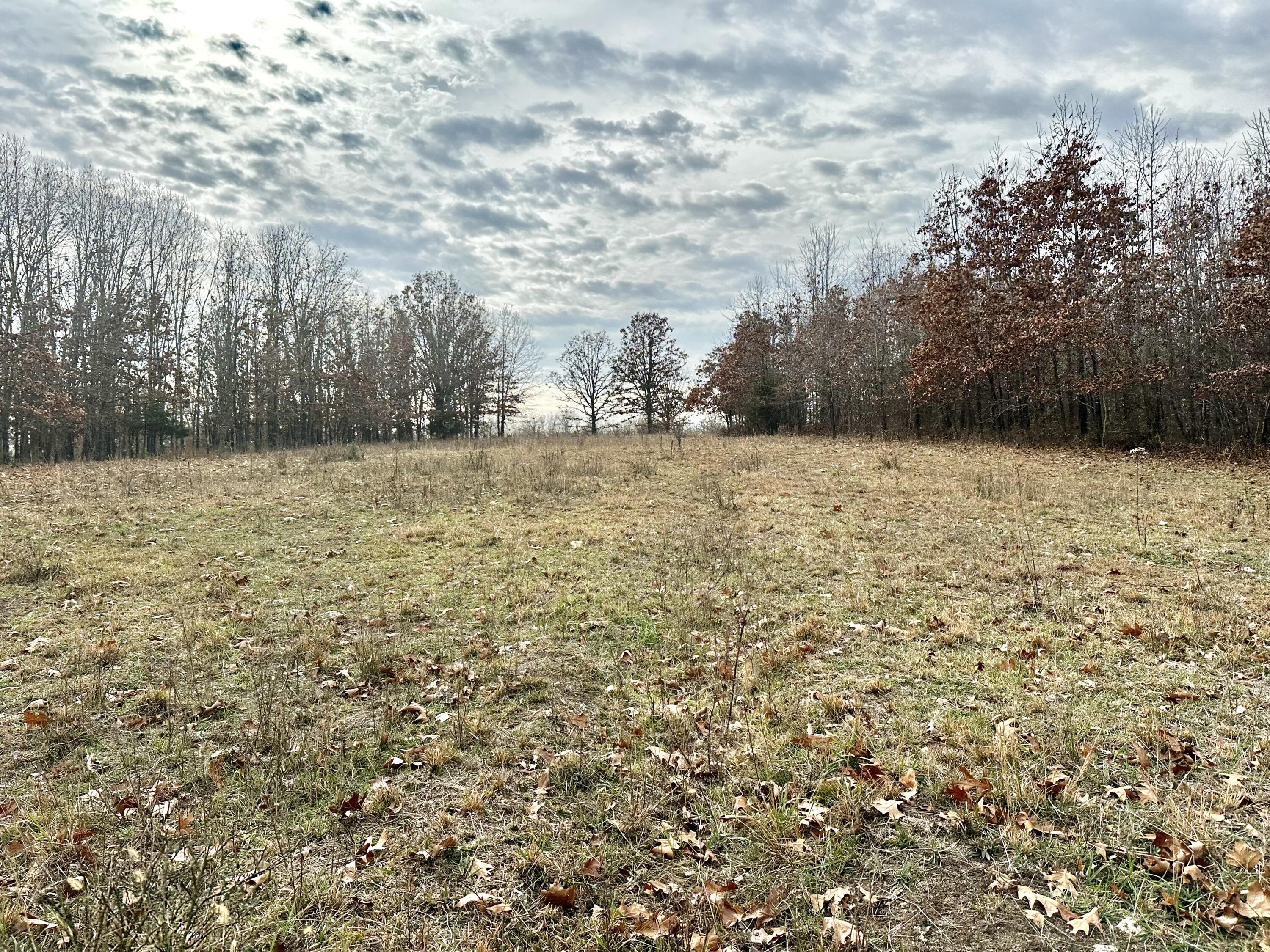 Tbd County Road 2780 Property Photo 7