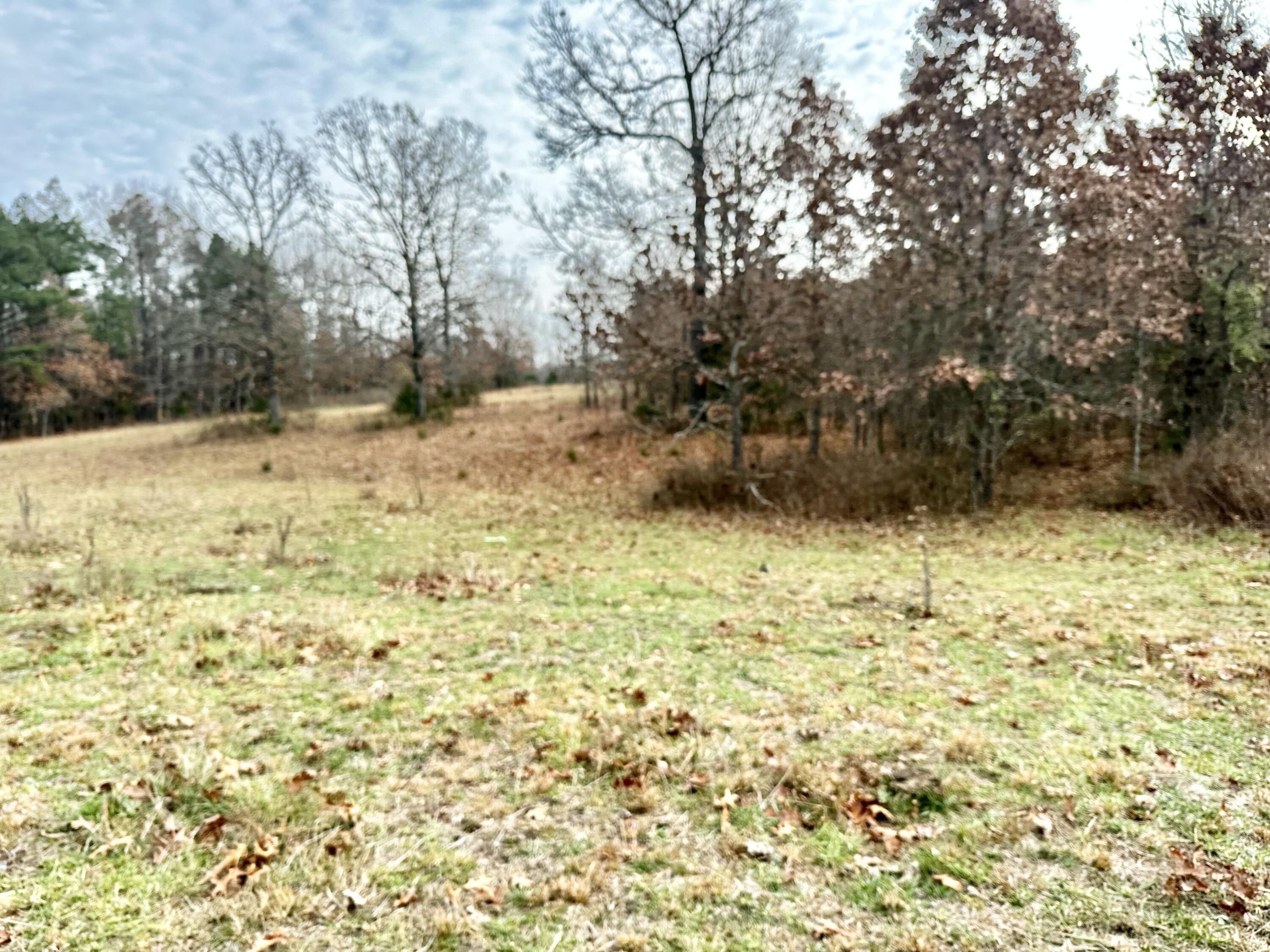 Tbd County Road 2780 Property Photo 8