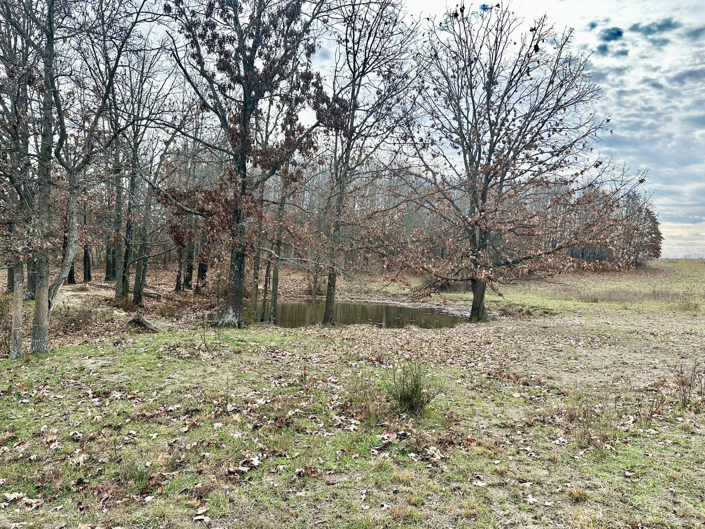 Tbd County Road 2780 Property Photo 10