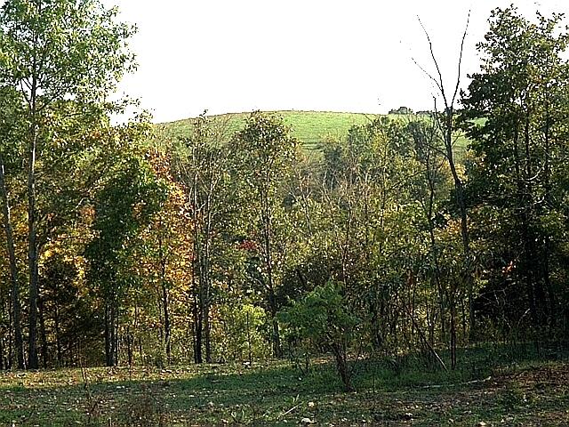 000 Reno Hollow Road Property Photo