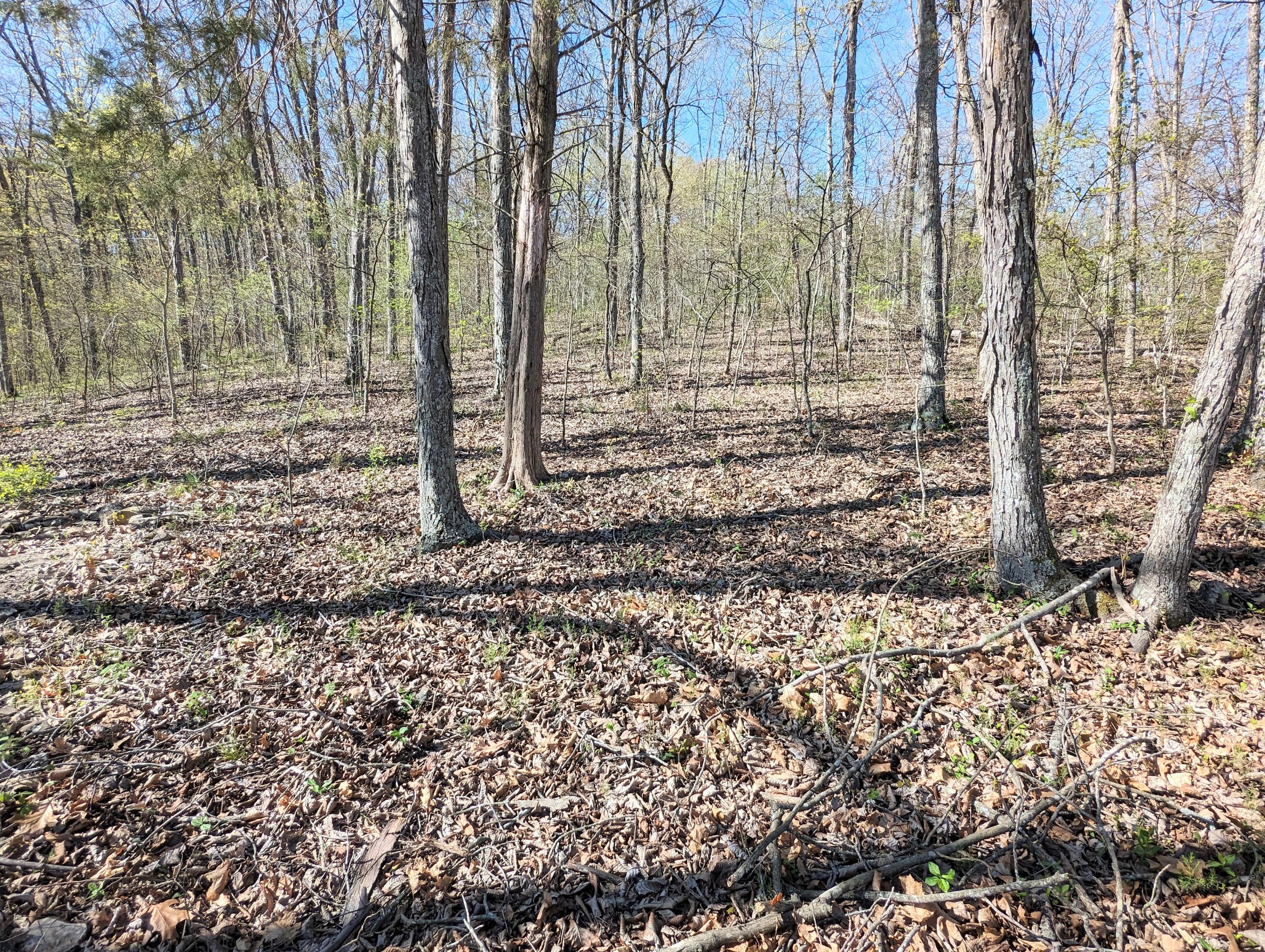 750 Saint Cloud Drive Property Photo 29