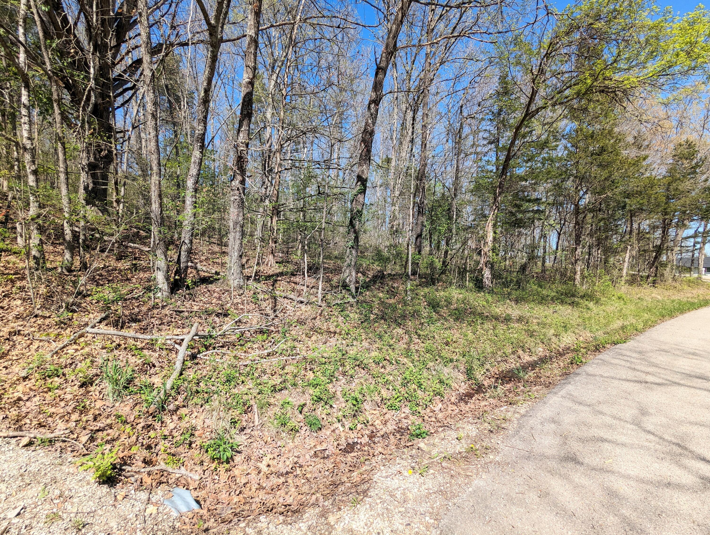 750 Saint Cloud Drive Property Photo 31