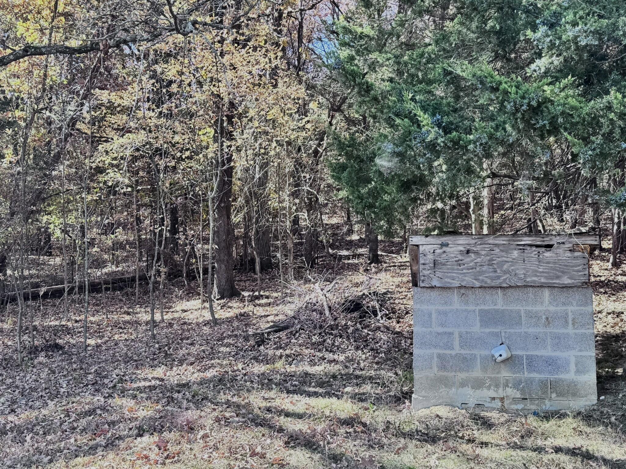 5293 East Farm Road 52 Property Photo 6