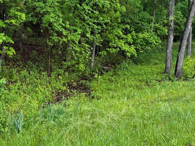 5293 East Farm Road 52 Property Photo 12