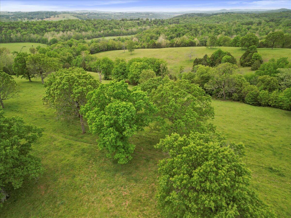 397 County Road 511 Property Photo 3