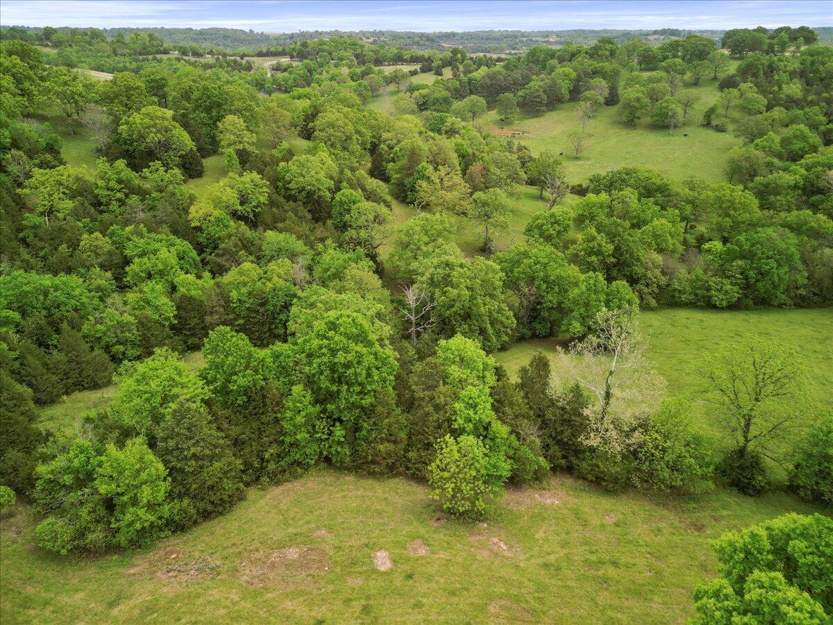 397 County Road 511 Property Photo 14