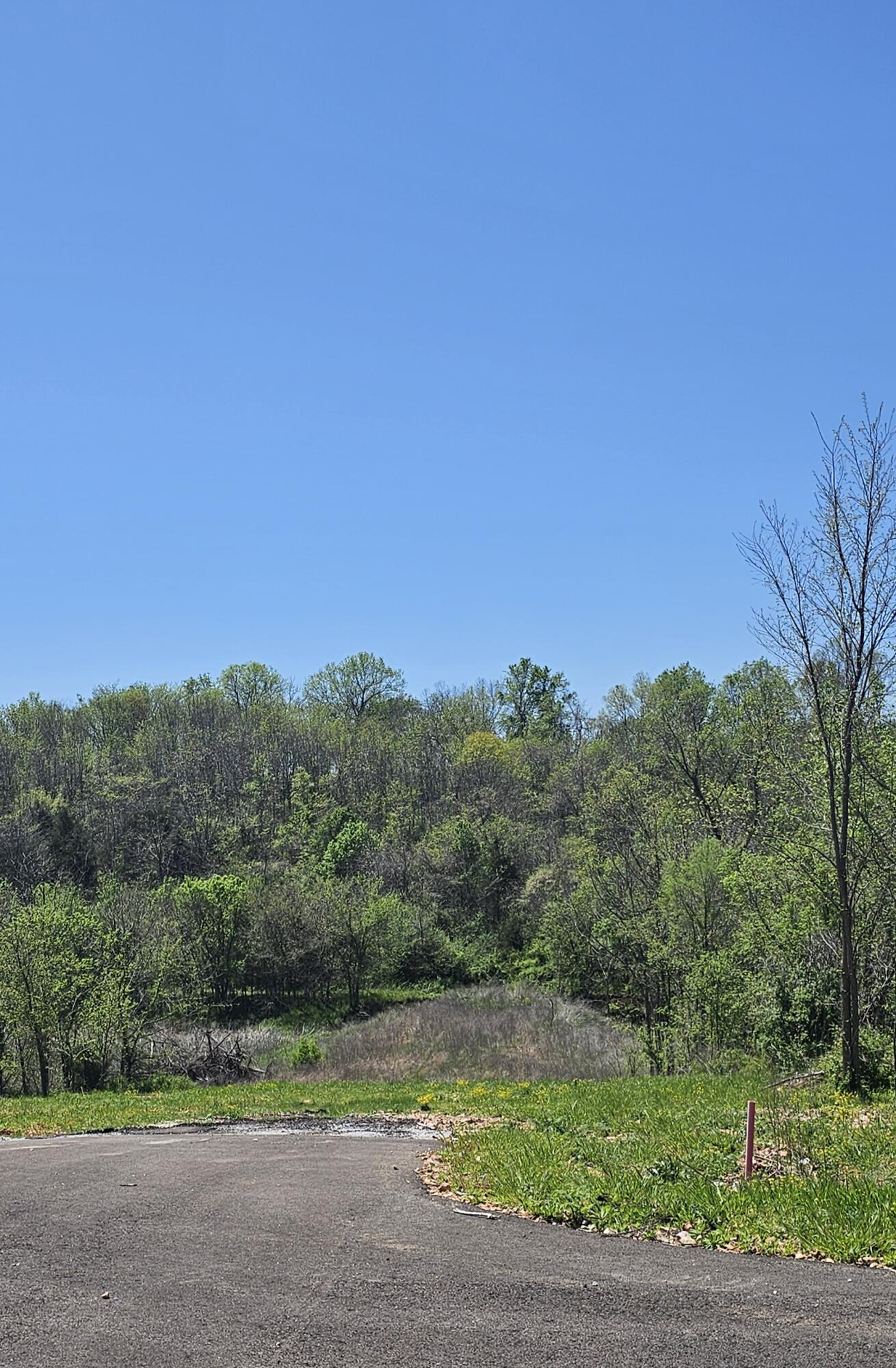 Lot 4 Crystal Property Photo
