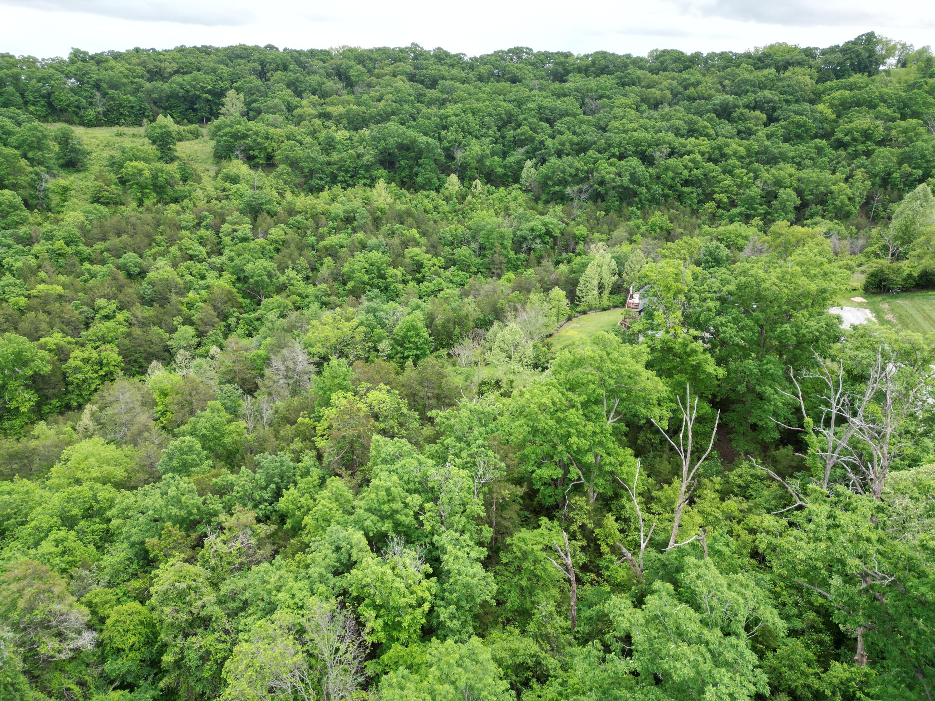 Lot 97 Stone Creek Road Property Photo 9