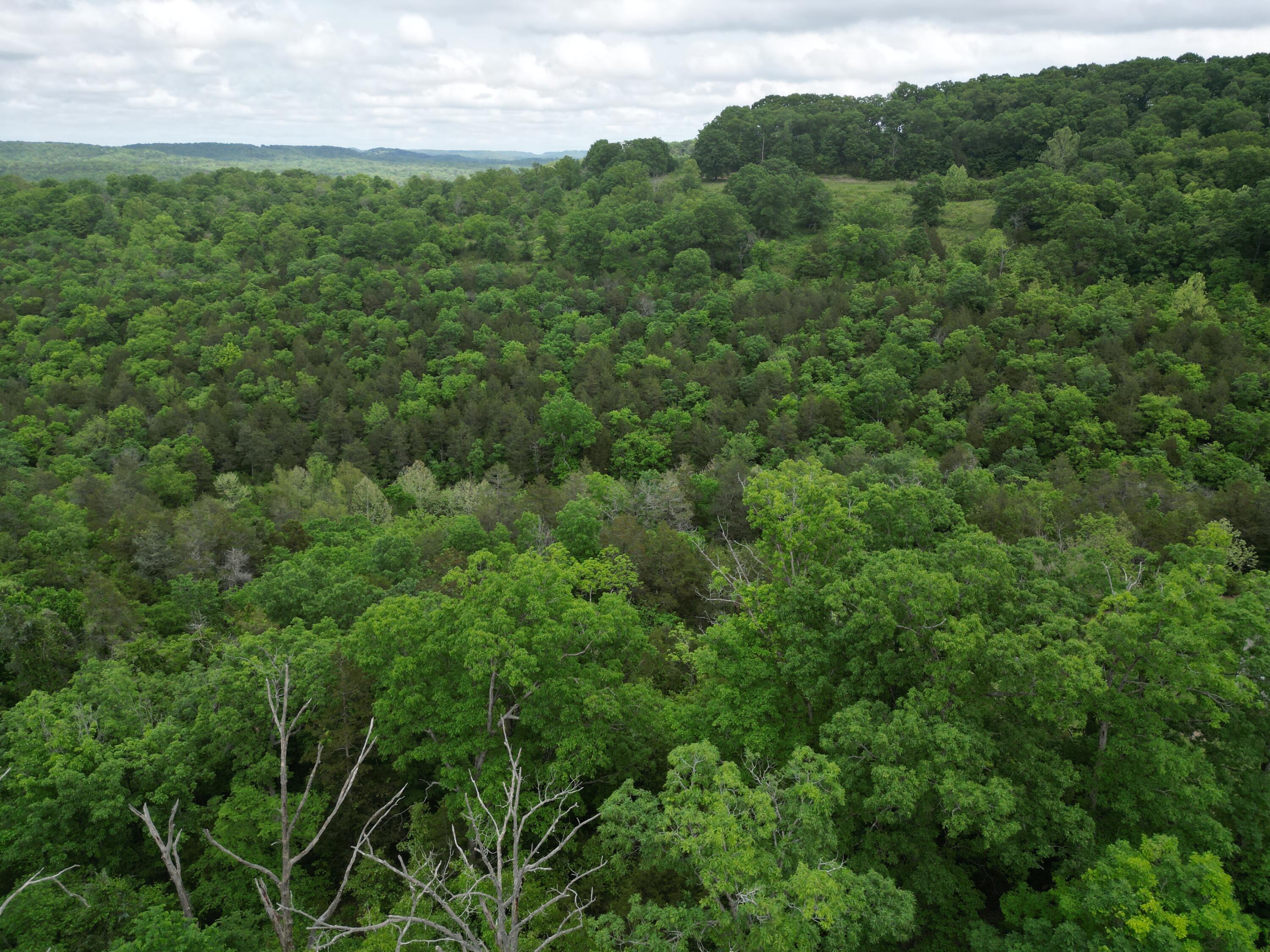 Lot 97 Stone Creek Road Property Photo 10