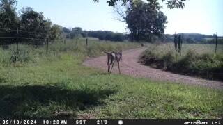 Route 63 Box 722 Property Photo 28