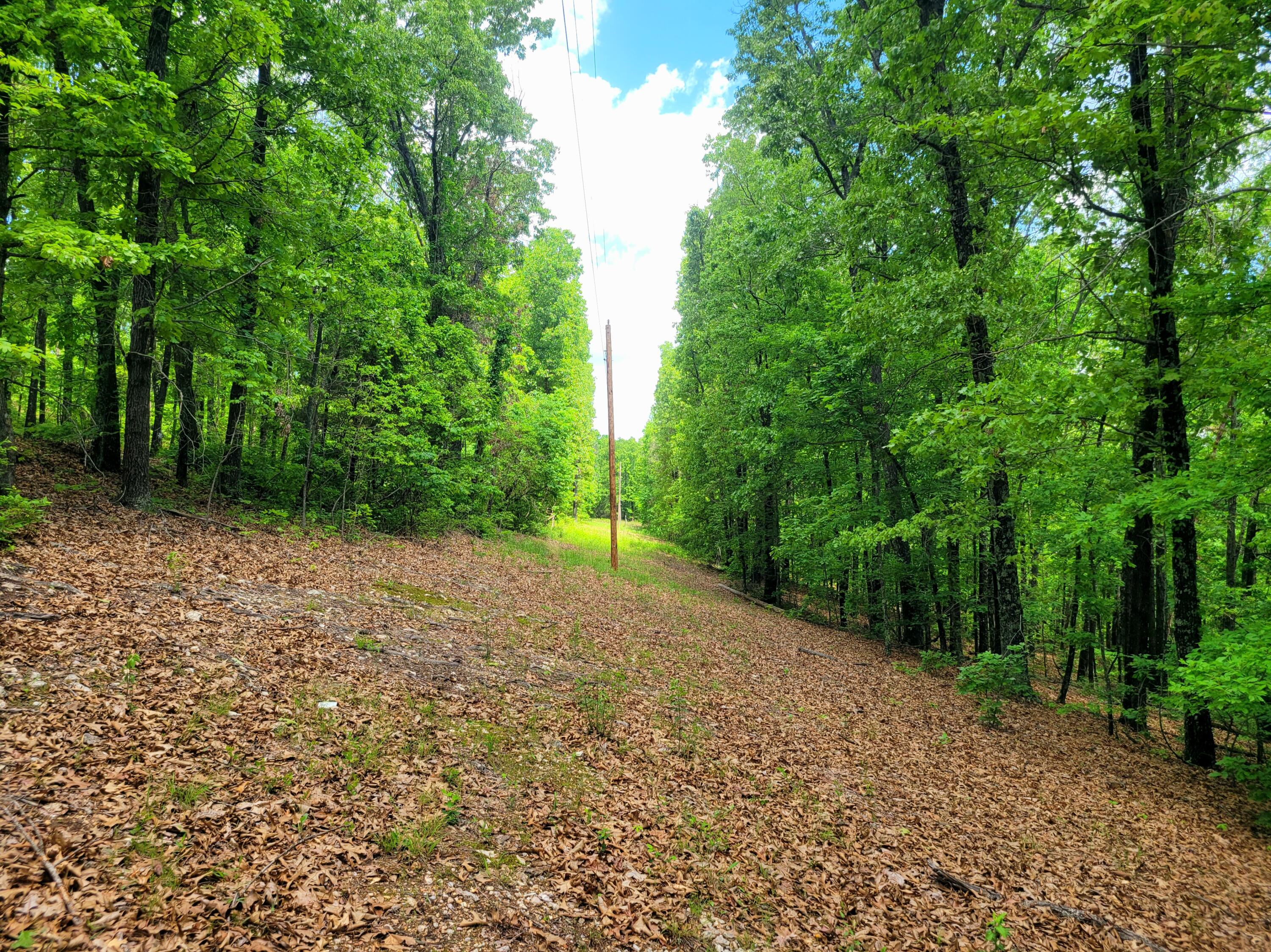 000 County Road 76-126 Property Photo 2