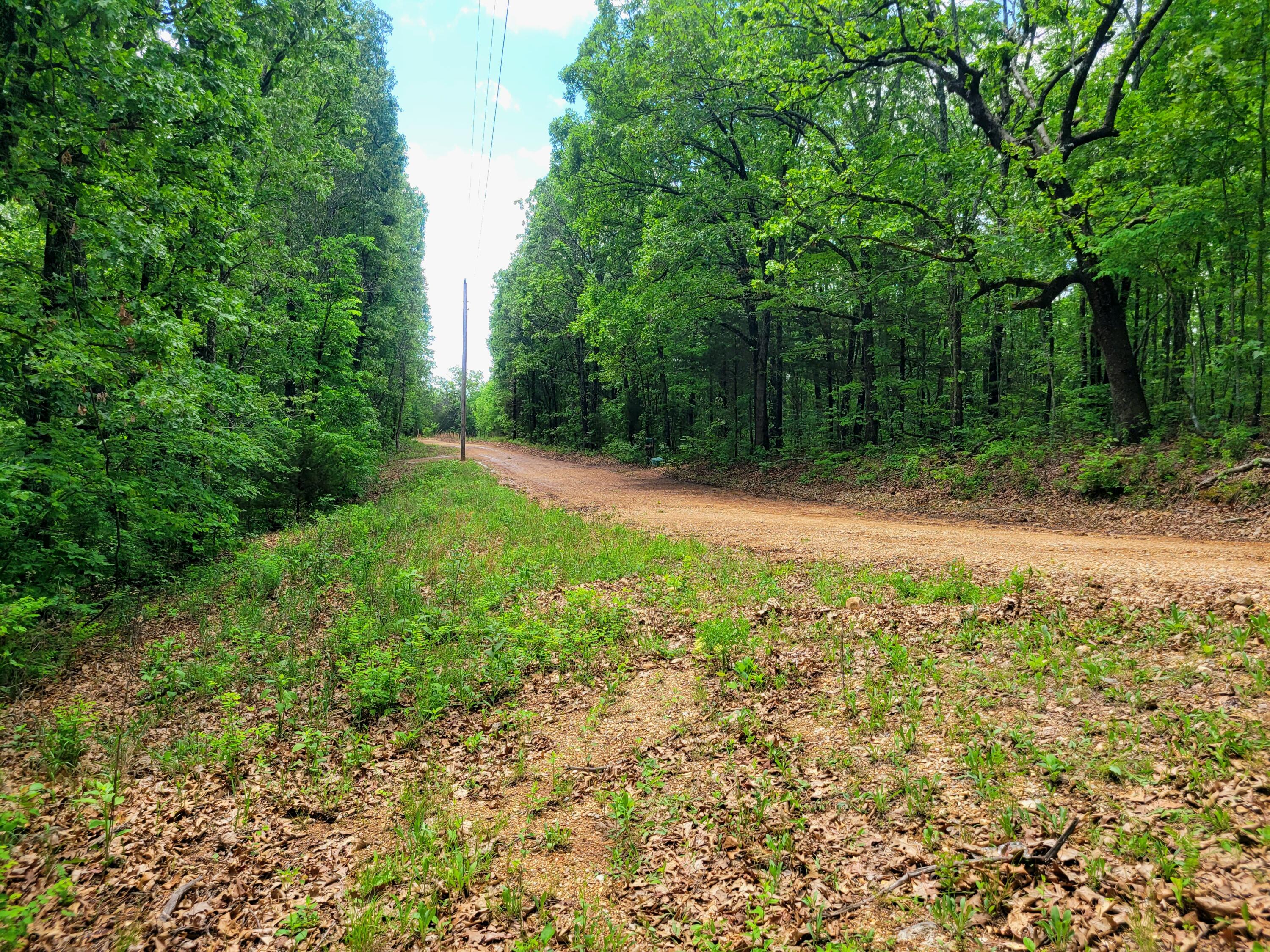 000 County Road 76-126 Property Photo 3