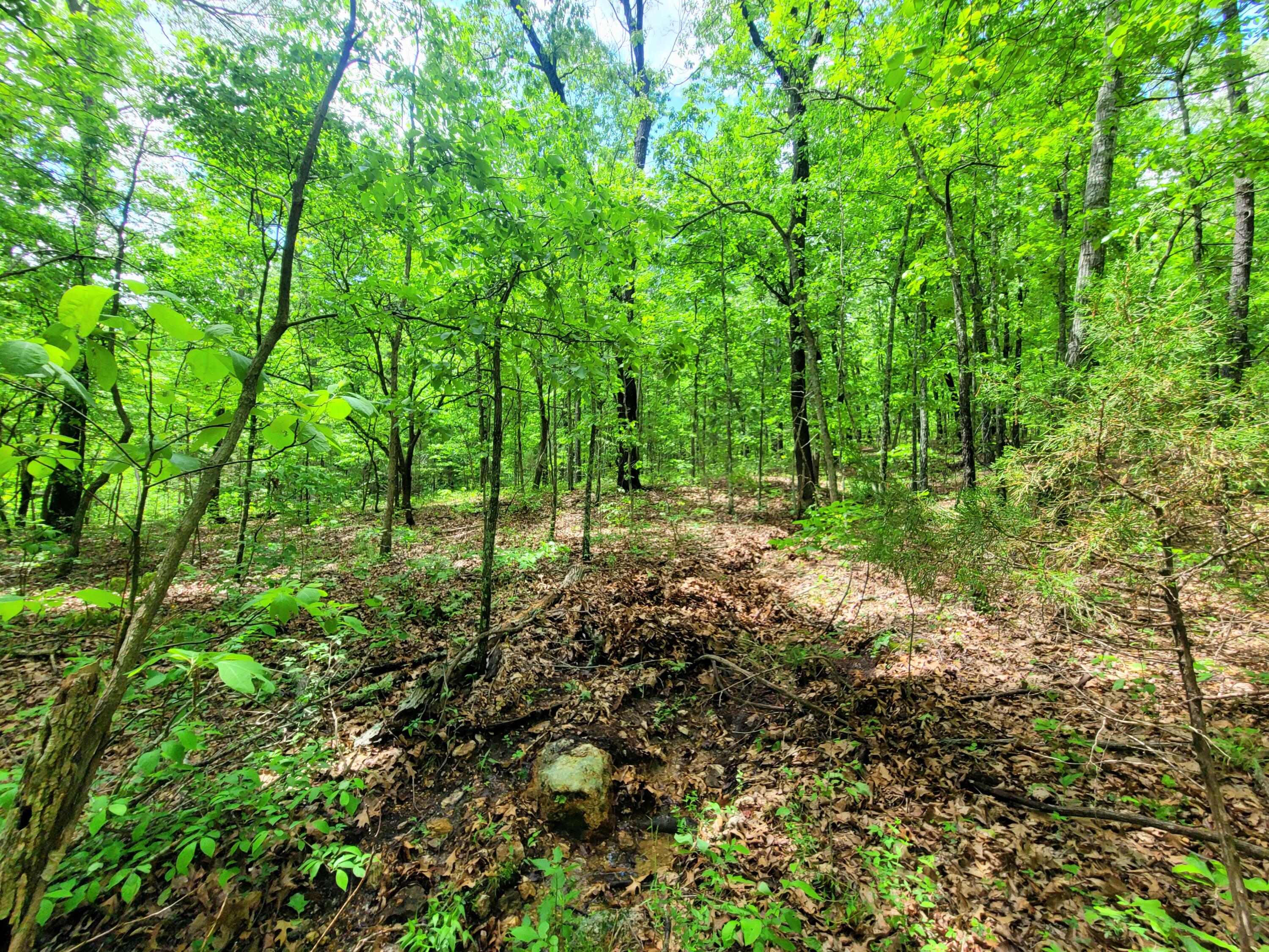 000 County Road 76-126 Property Photo 11