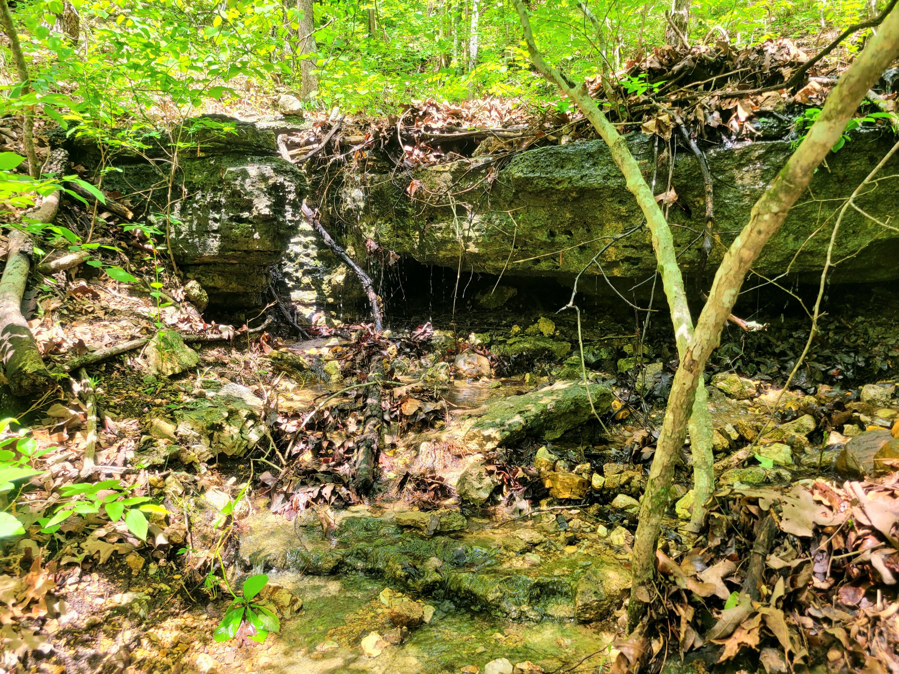 000 County Road 76-126 Property Photo 17
