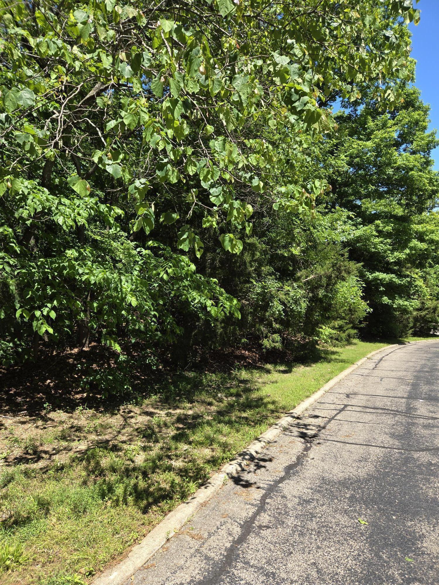 120 Silver Oak Way Property Photo 3
