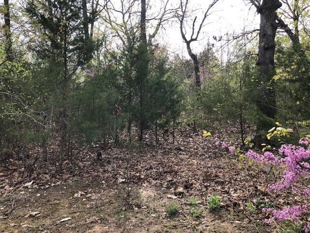 120 Silver Oak Way Property Photo 4