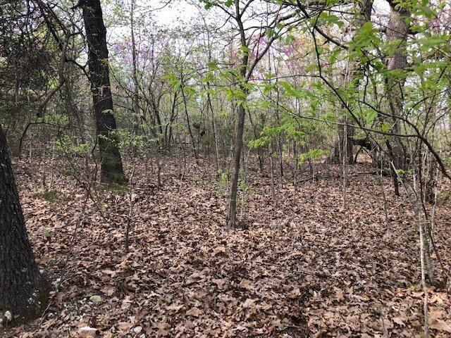 120 Silver Oak Way Property Photo 8