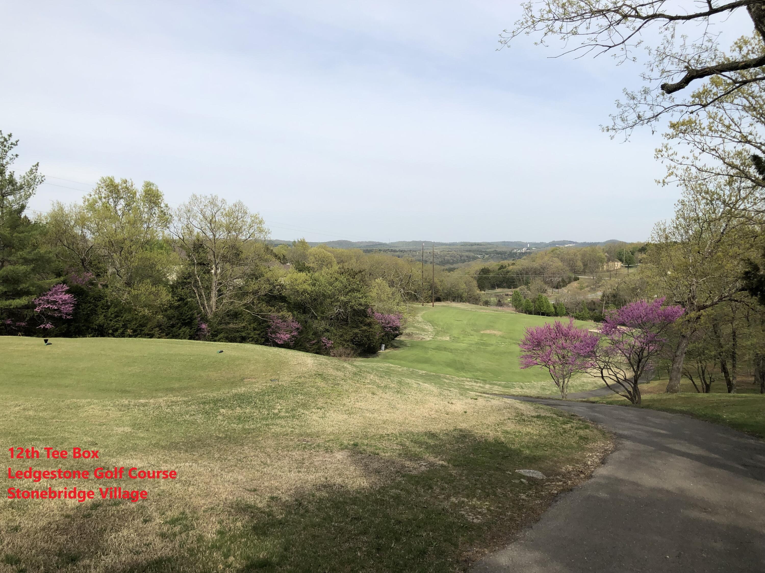 120 Silver Oak Way Property Photo 11