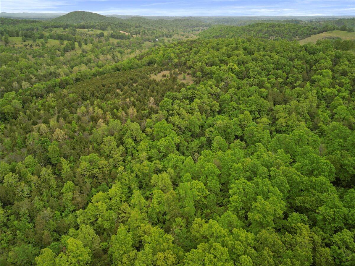 000 County Road 527 Property Photo 6