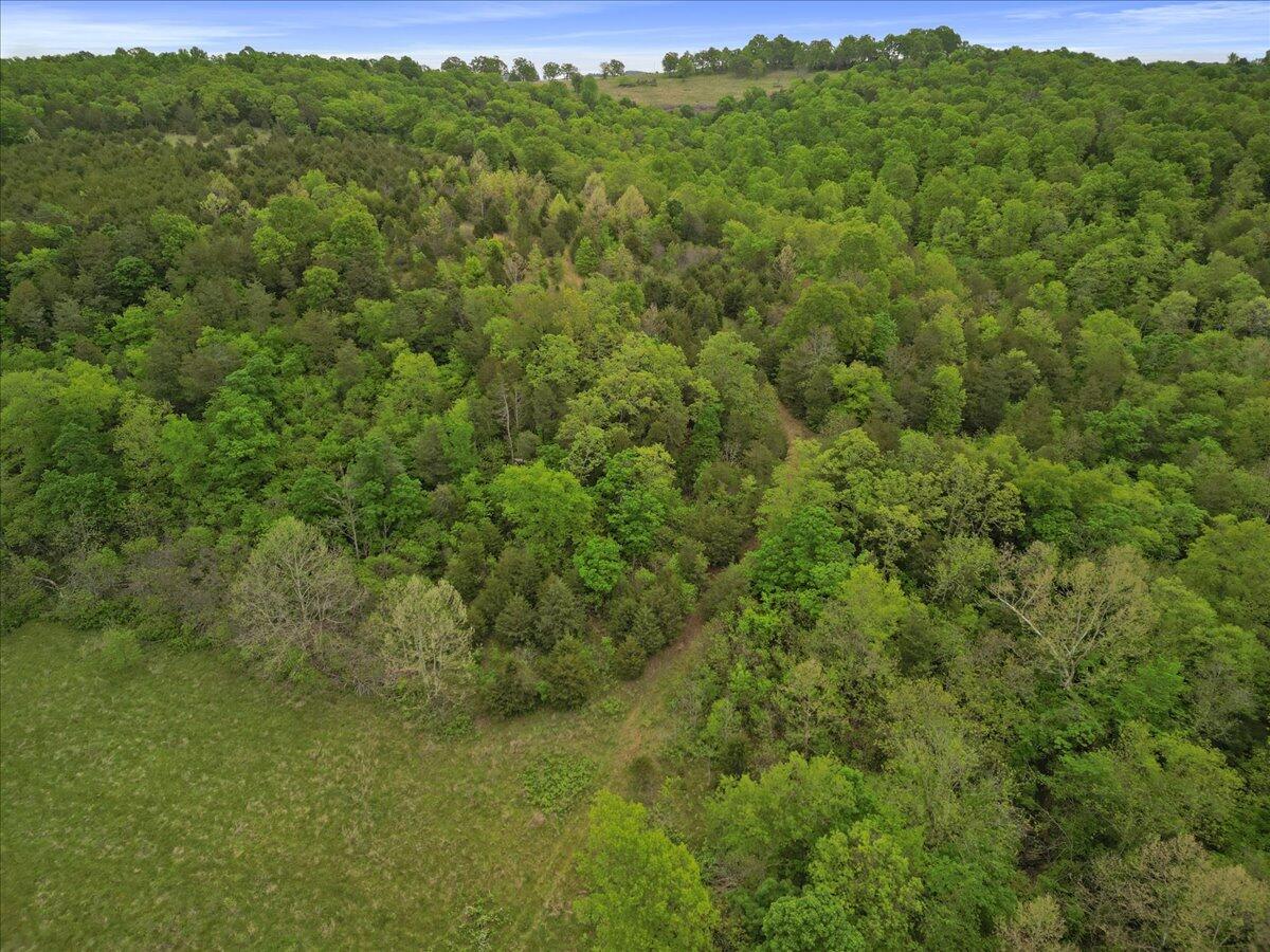 000 County Road 527 Property Photo 12