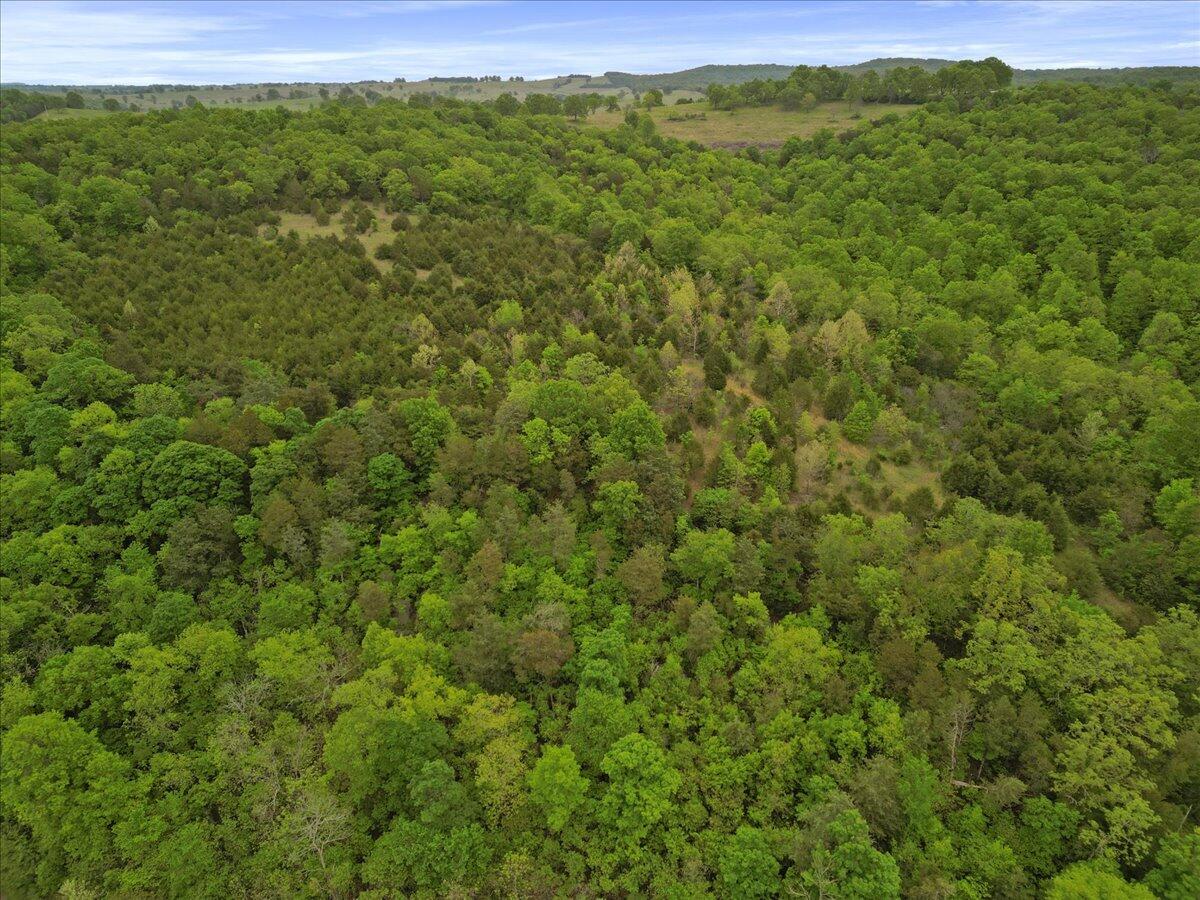 000 County Road 527 #2 Property Photo 12
