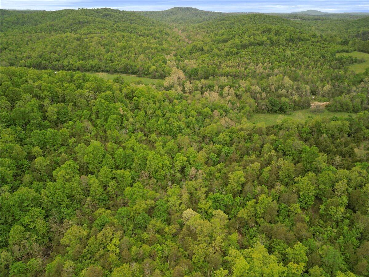 000 County Road 527 #2 Property Photo 13