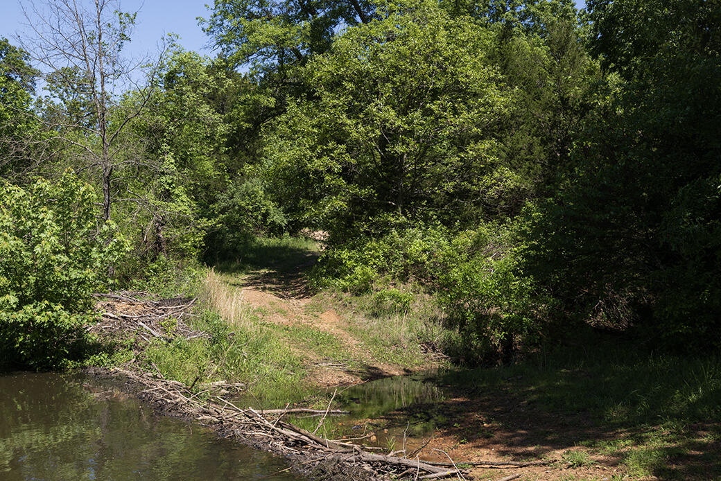 Lot 6 Meyongo Trail Property Photo 5