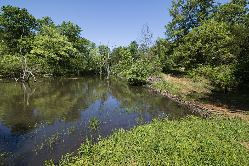 Lot 6 Meyongo Trail Property Photo 6
