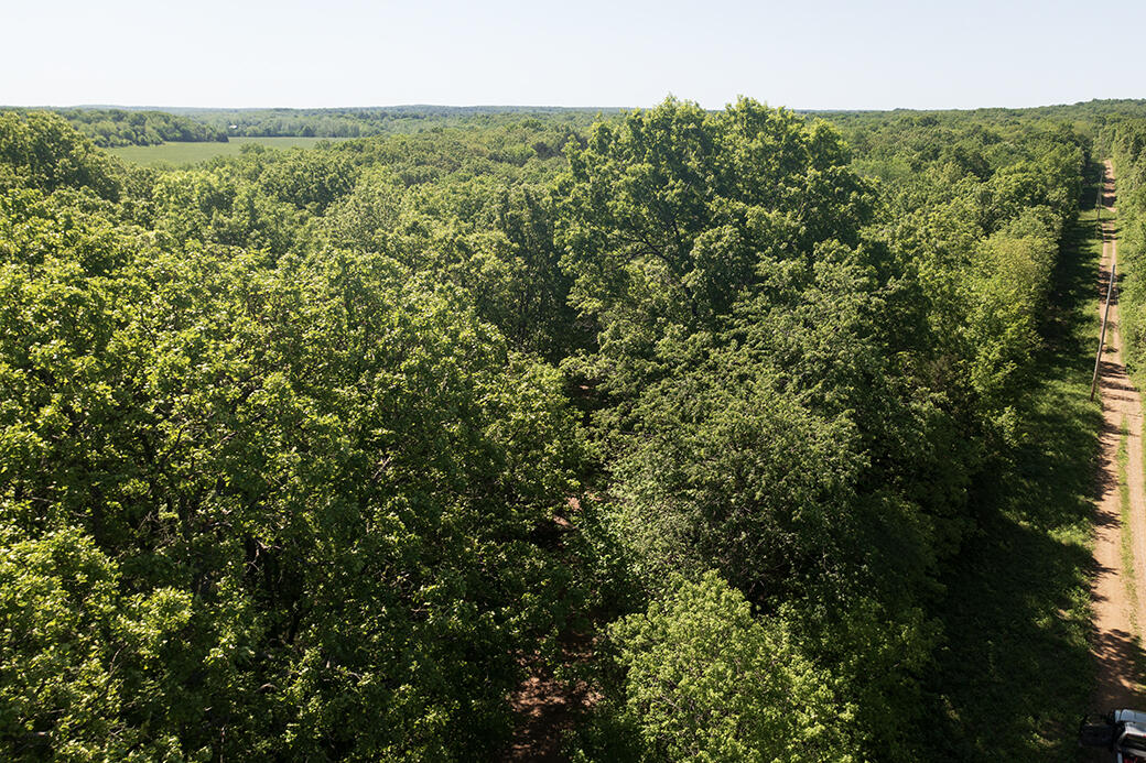 Lot 6 Meyongo Trail Property Photo 10